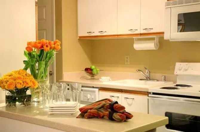 Kitchen or kitchenette in Jockey Club Suites