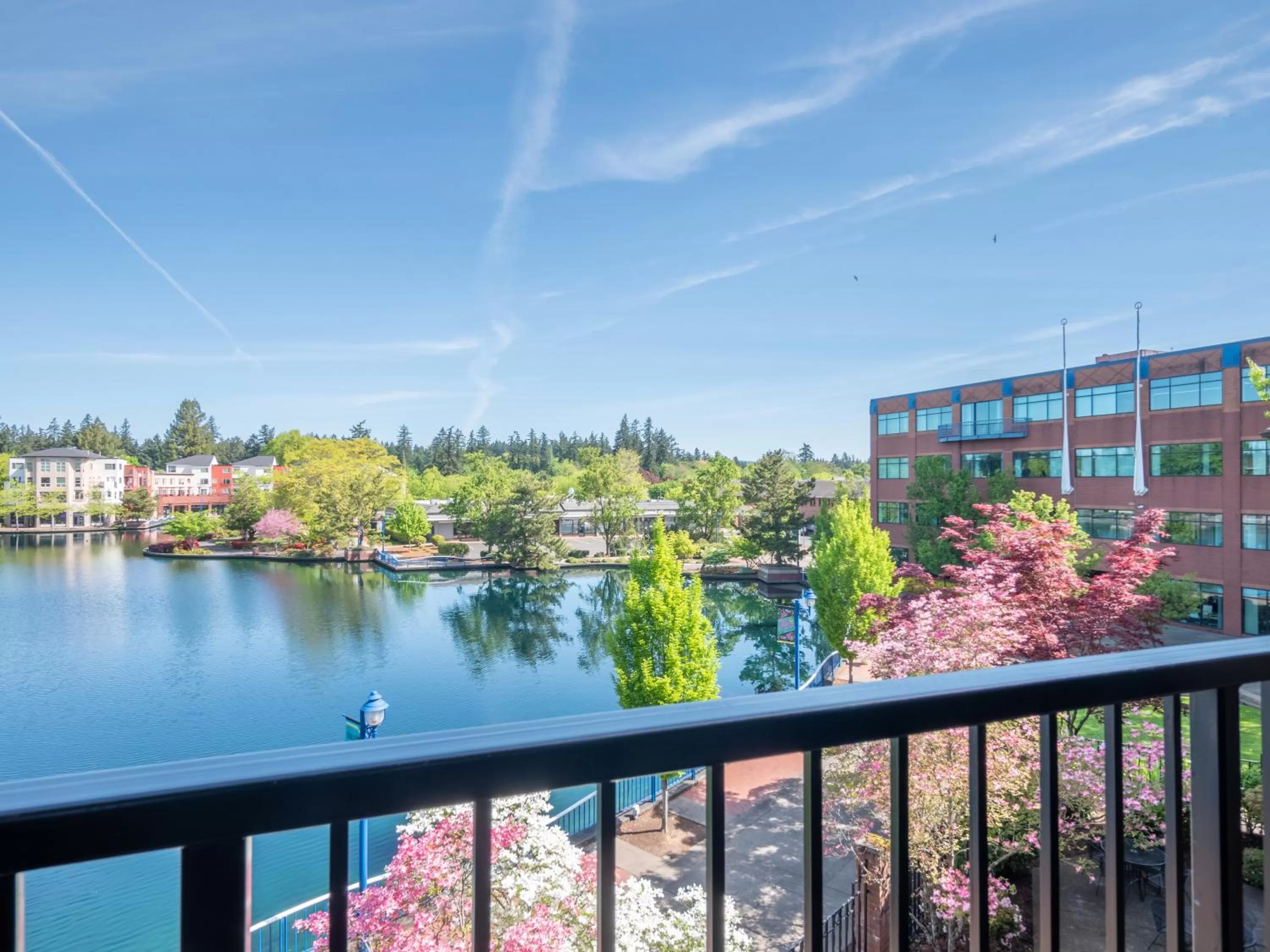 View (from property/room) in Century Hotel