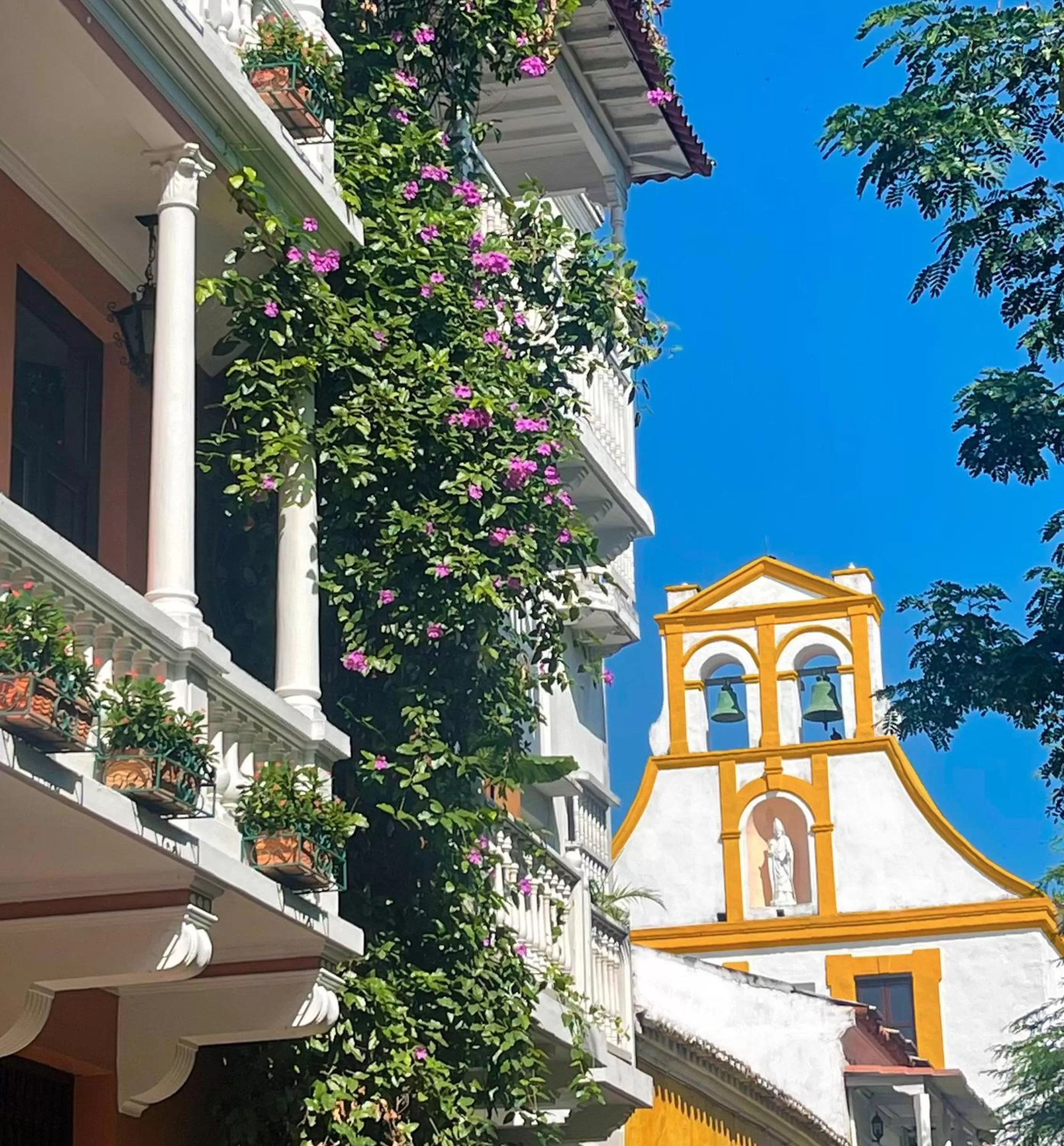 View (from property/room) in Hotel Casa La Fe