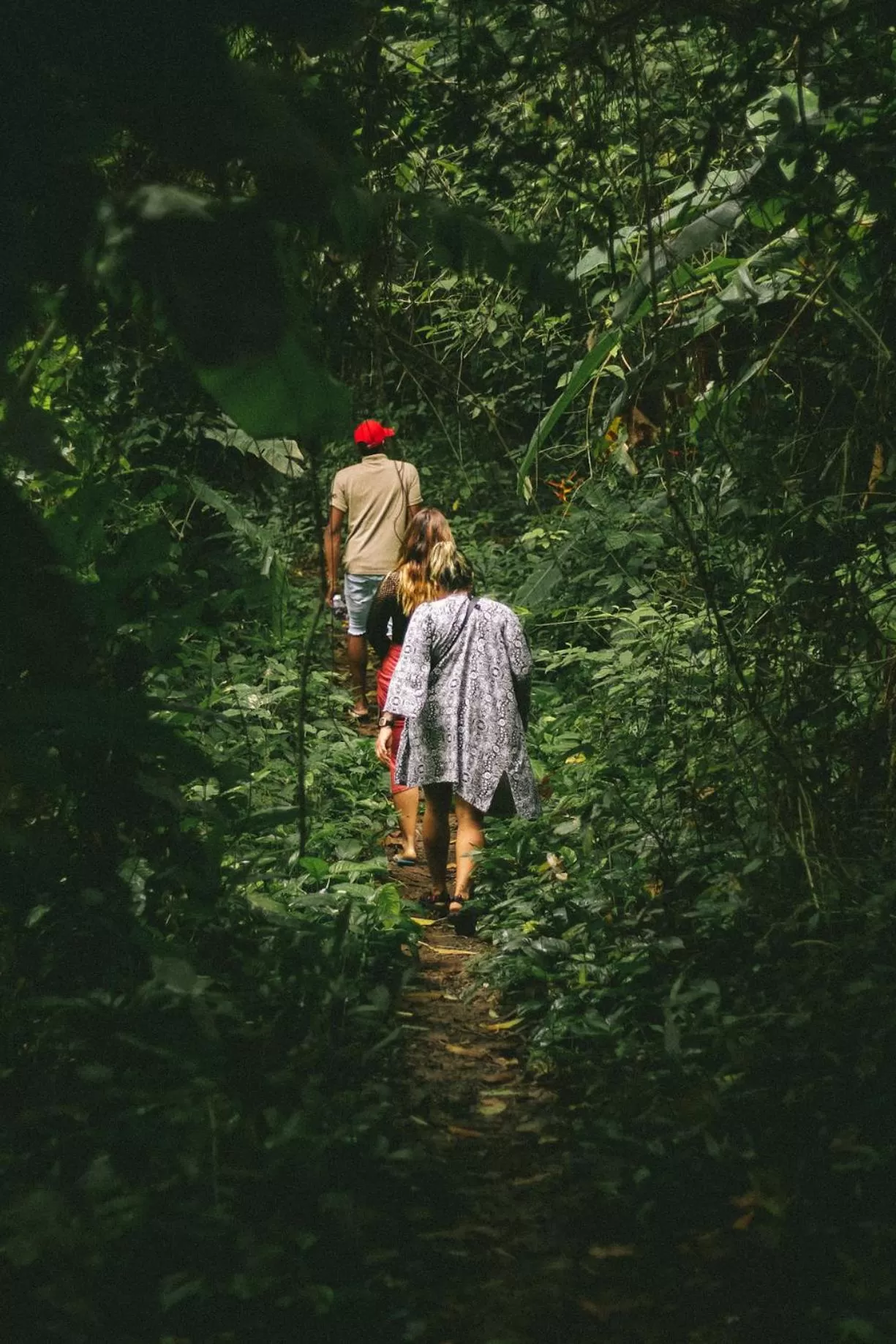 Hiking in Saboga Lodge
