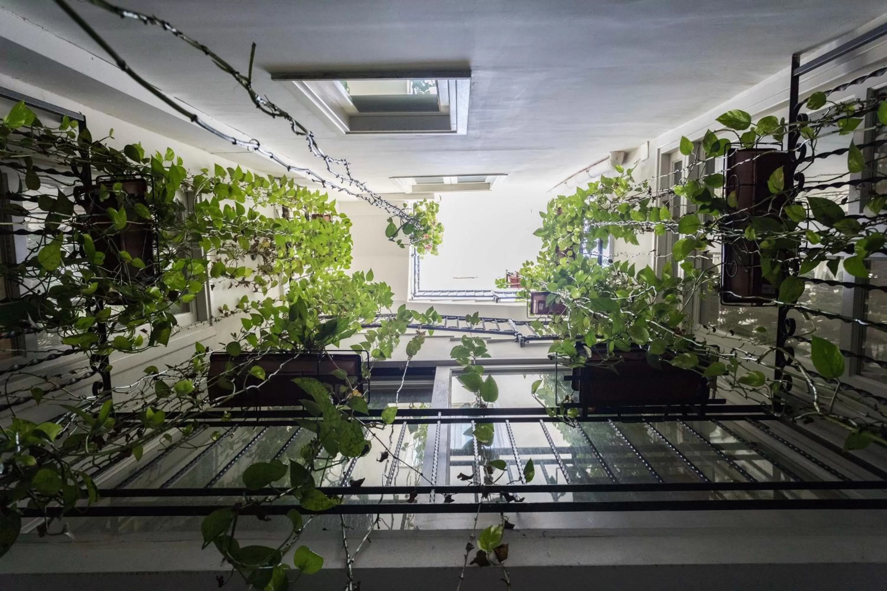 Garden view in Ai Tintori