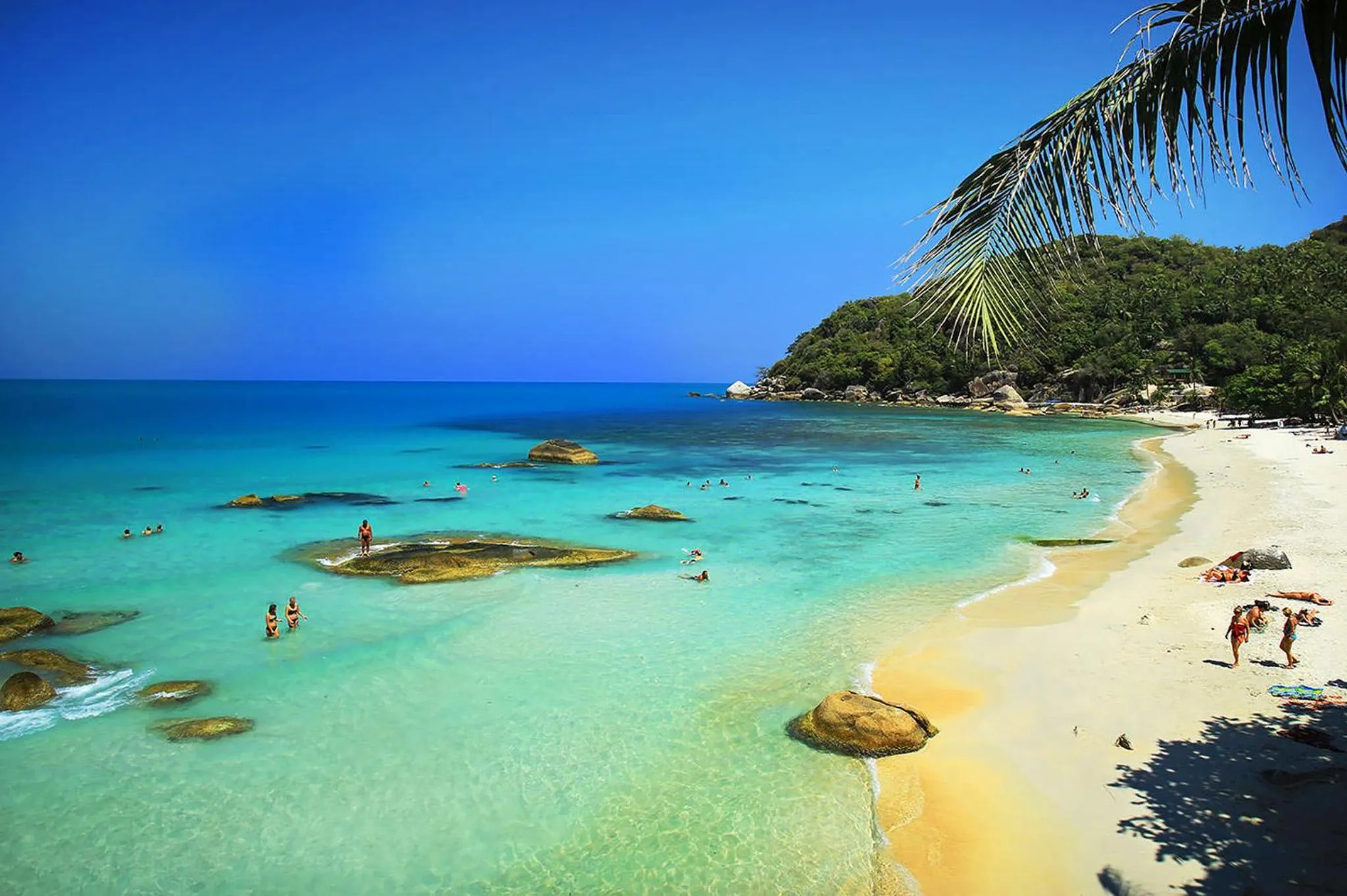 Day in Lotus Friendly Hotel