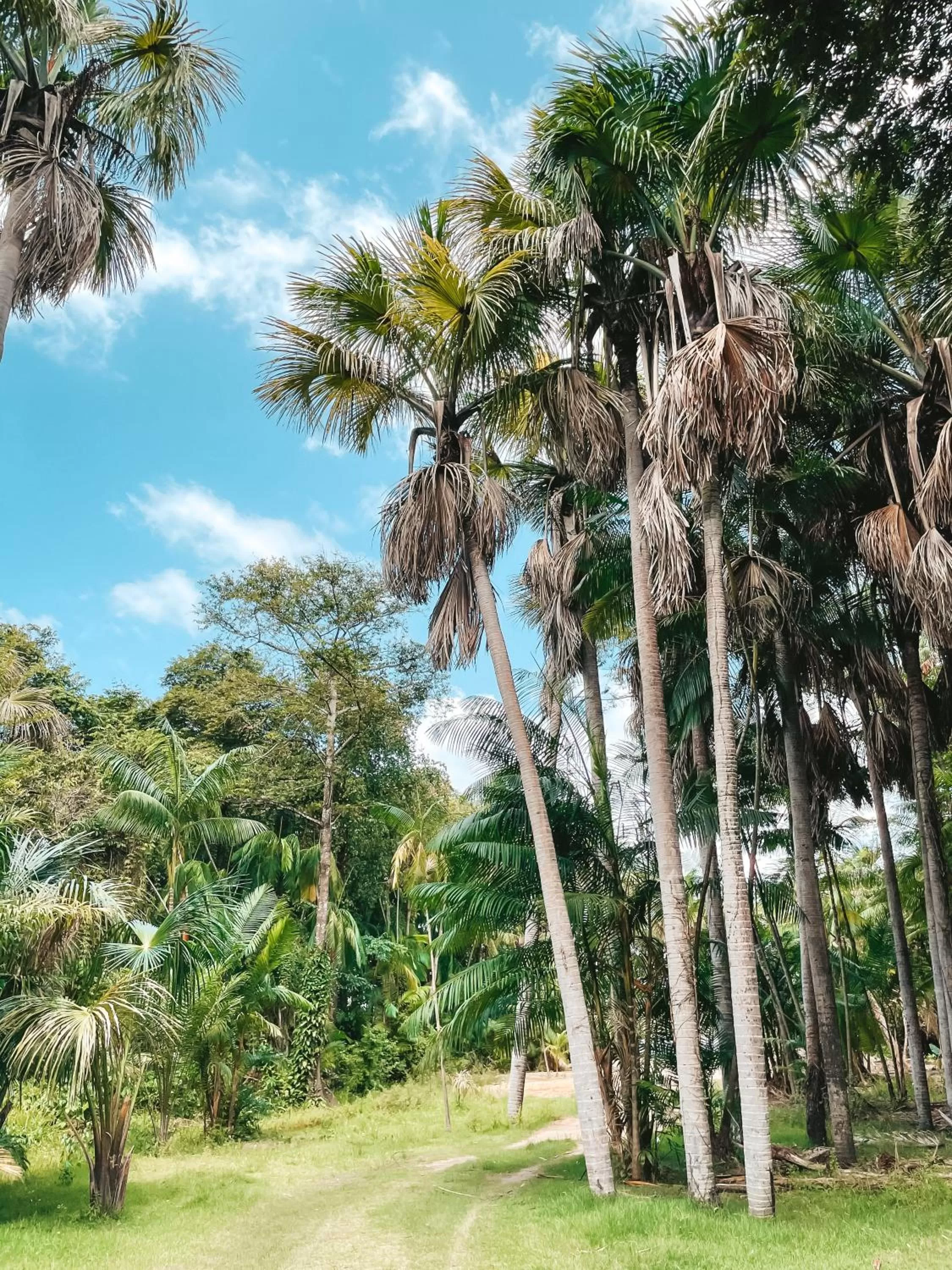 Balcony/Terrace in Pousada Vasto Horizonte