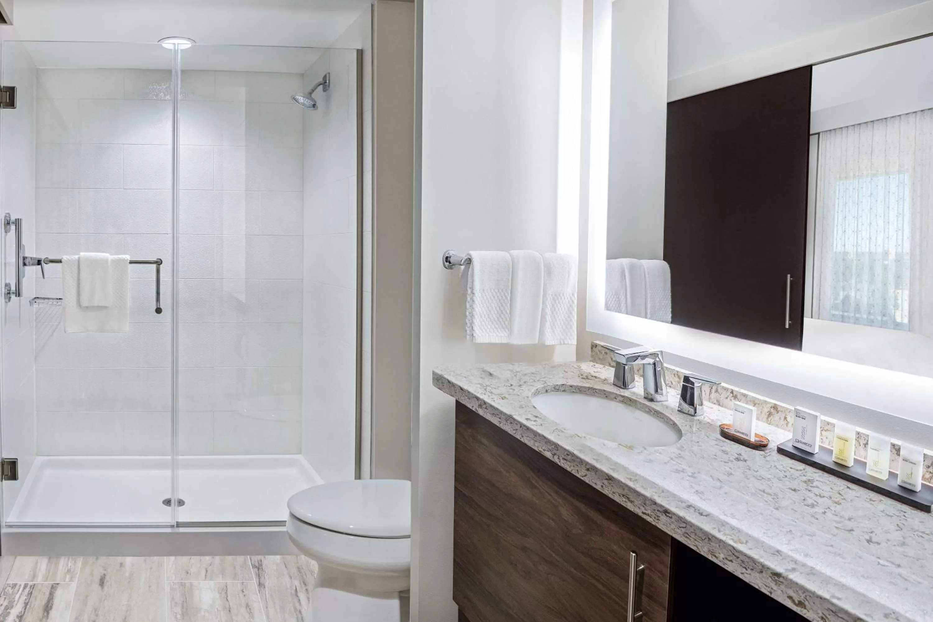 Bathroom in Embassy Suites By Hilton College Station