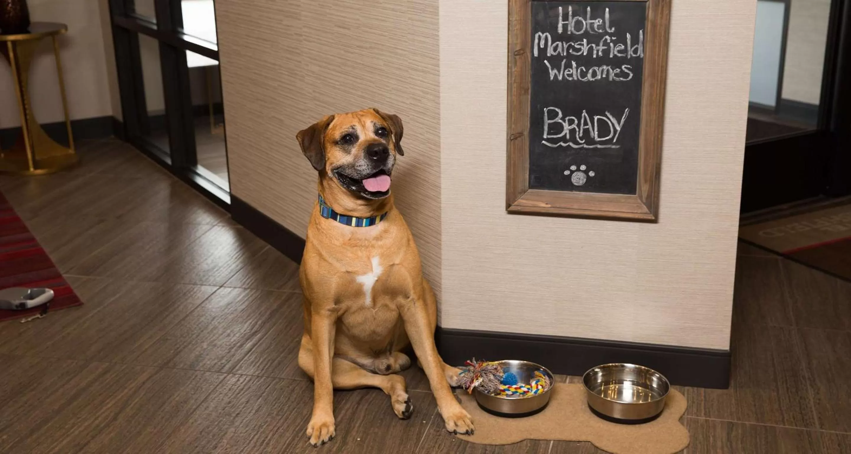 Other in Hotel Marshfield, BW Premier Collection