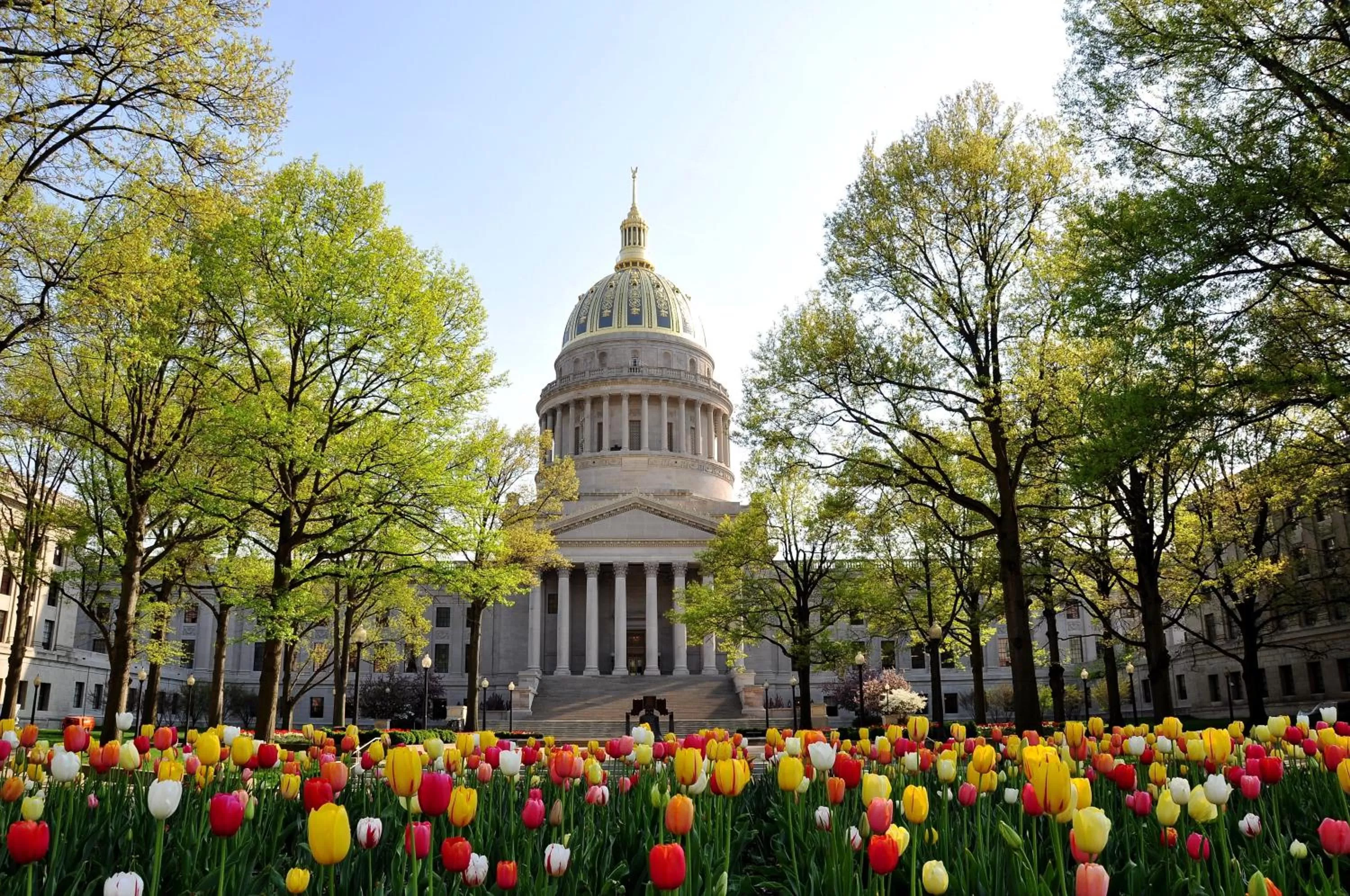 Area and facilities in Holiday Inn Express Charleston-Civic Center by IHG