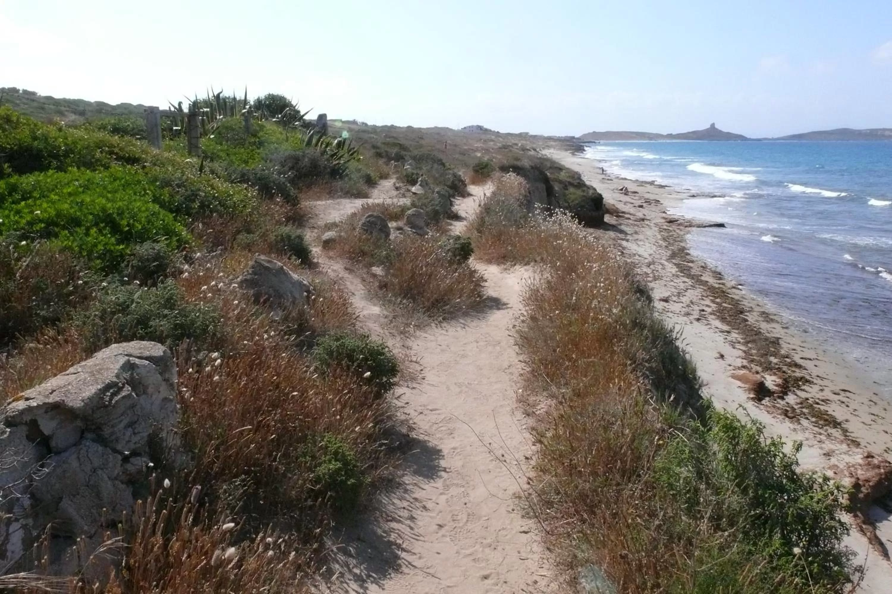 Natural landscape in B&B Il Mirto