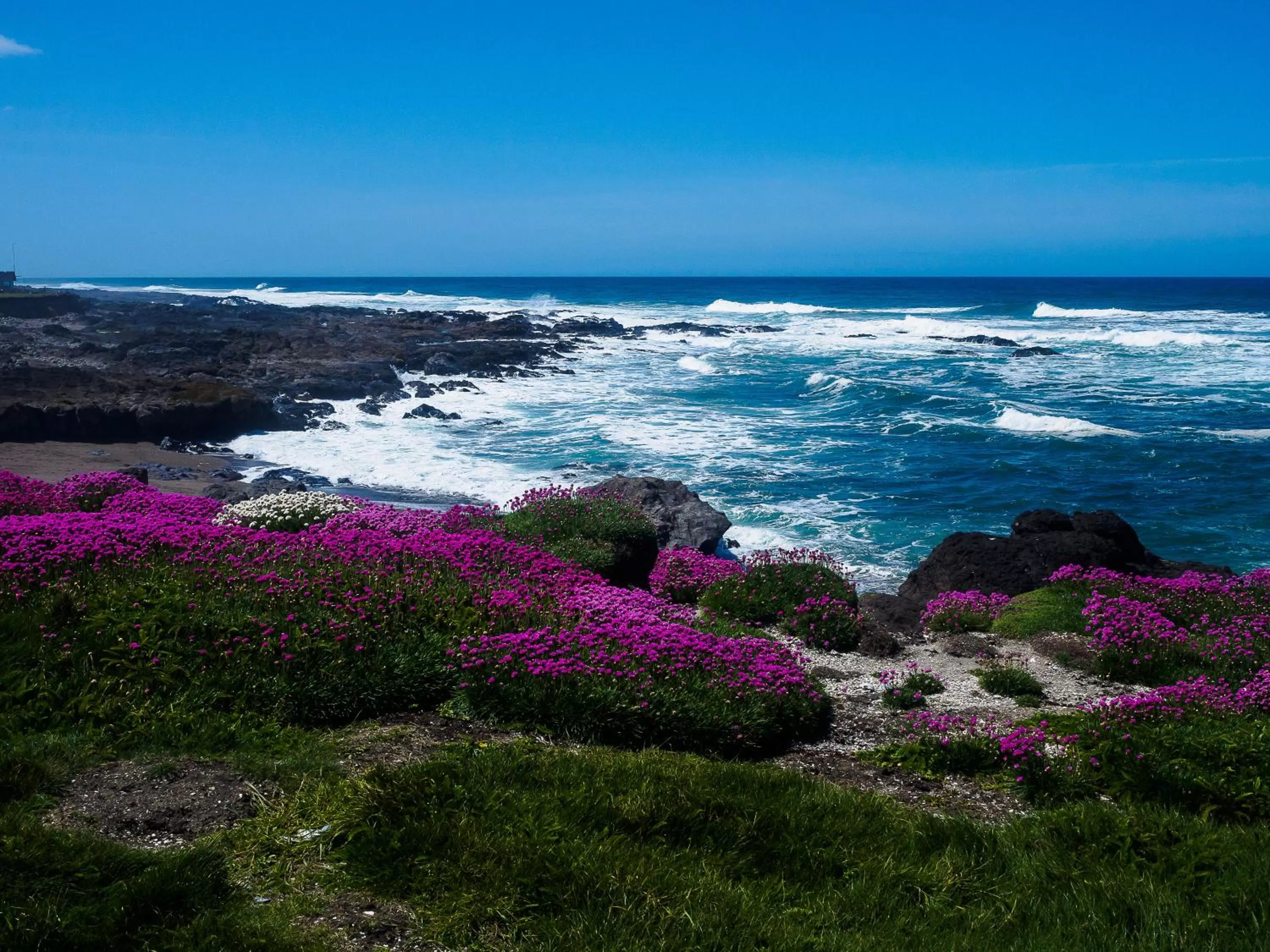 Overleaf Lodge and Spa