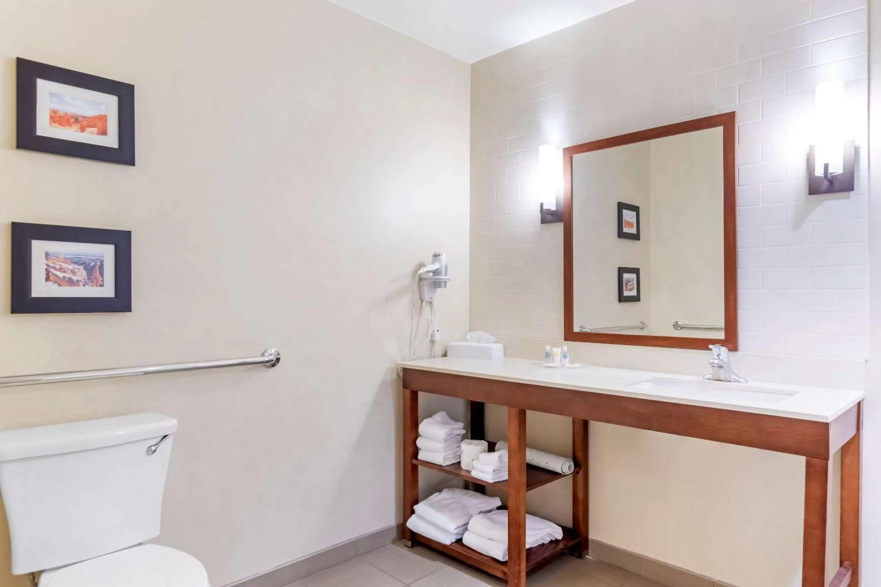 Bathroom in Comfort Suites St George - University Area