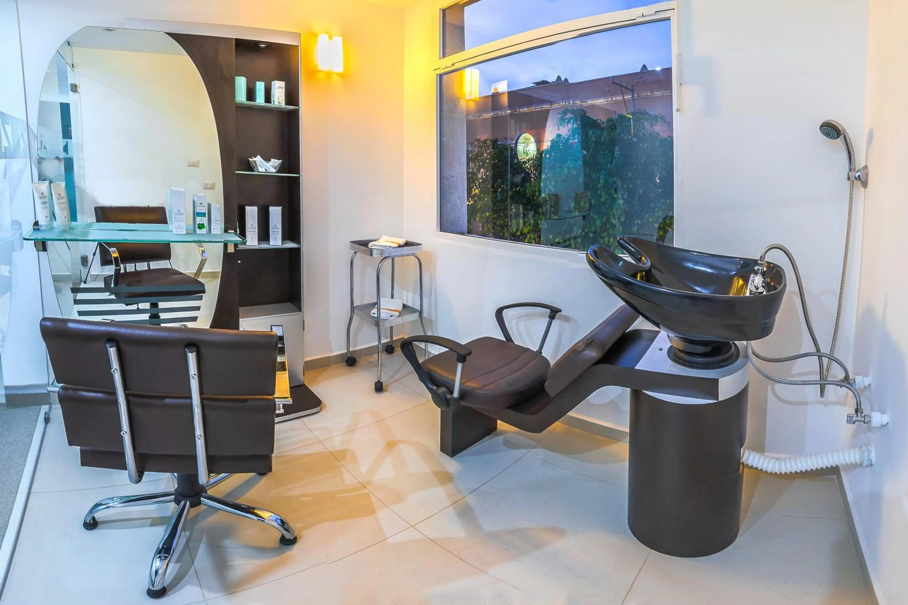 Spa and wellness centre/facilities in Hotel Zenith