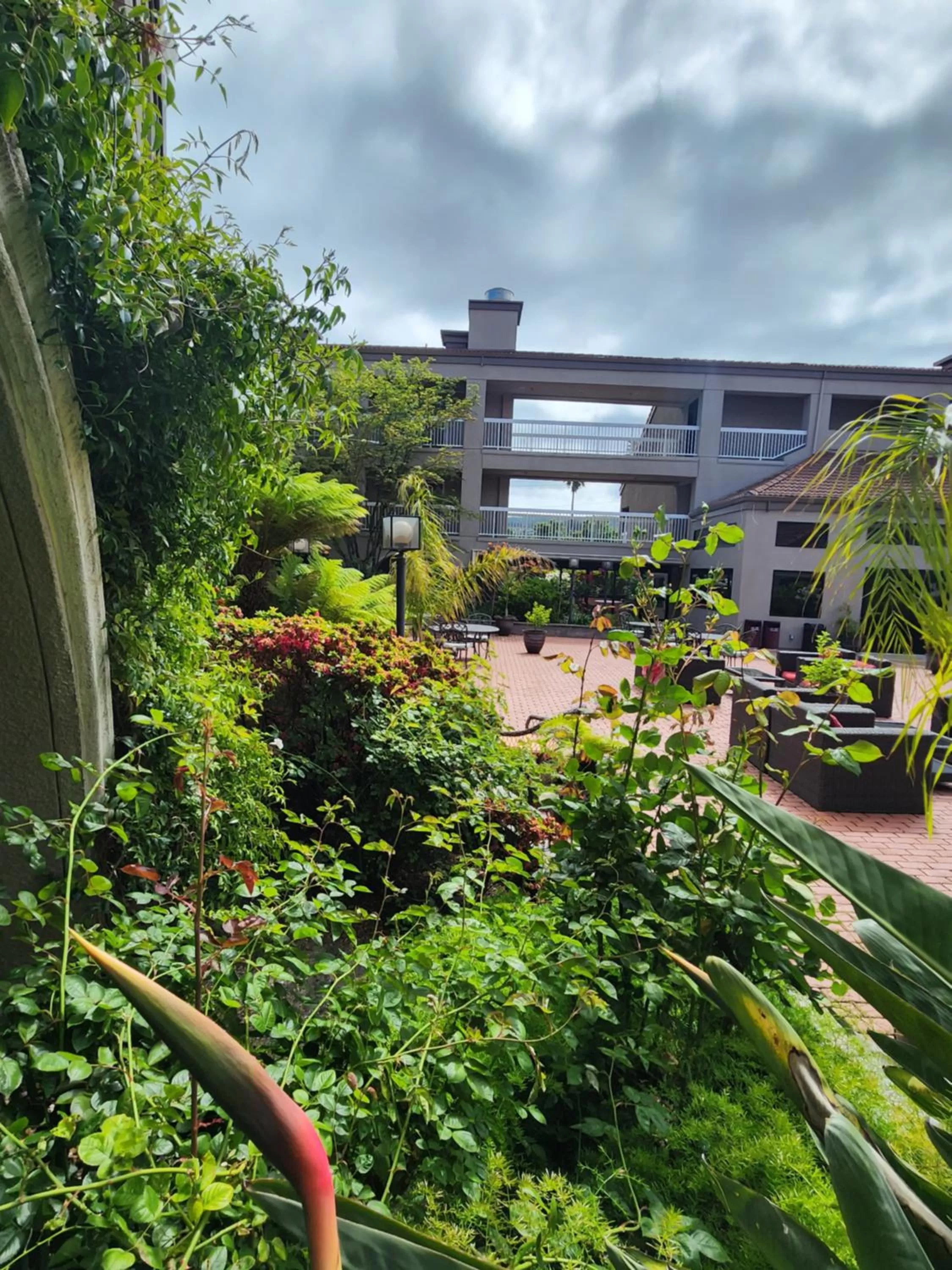 Garden view in La Quinta by Wyndham San Francisco Airport West Millbrae FREE AIRPORT SHUTTLE