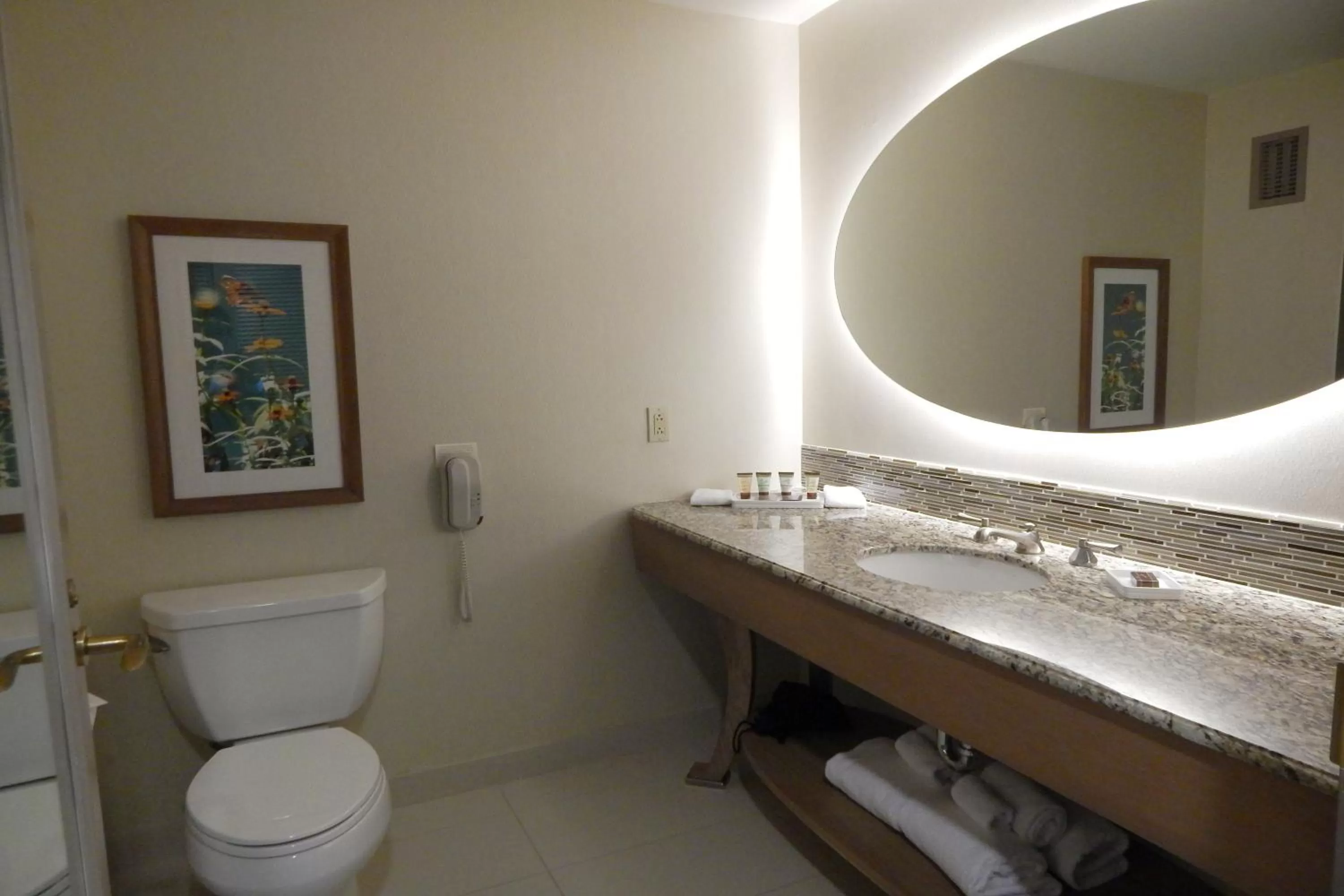 Queen Room with Two Queen Beds - Bayou View - Disability Access - W/Roll In Shower in Moody Gardens Hotel, Spa and Convention Center