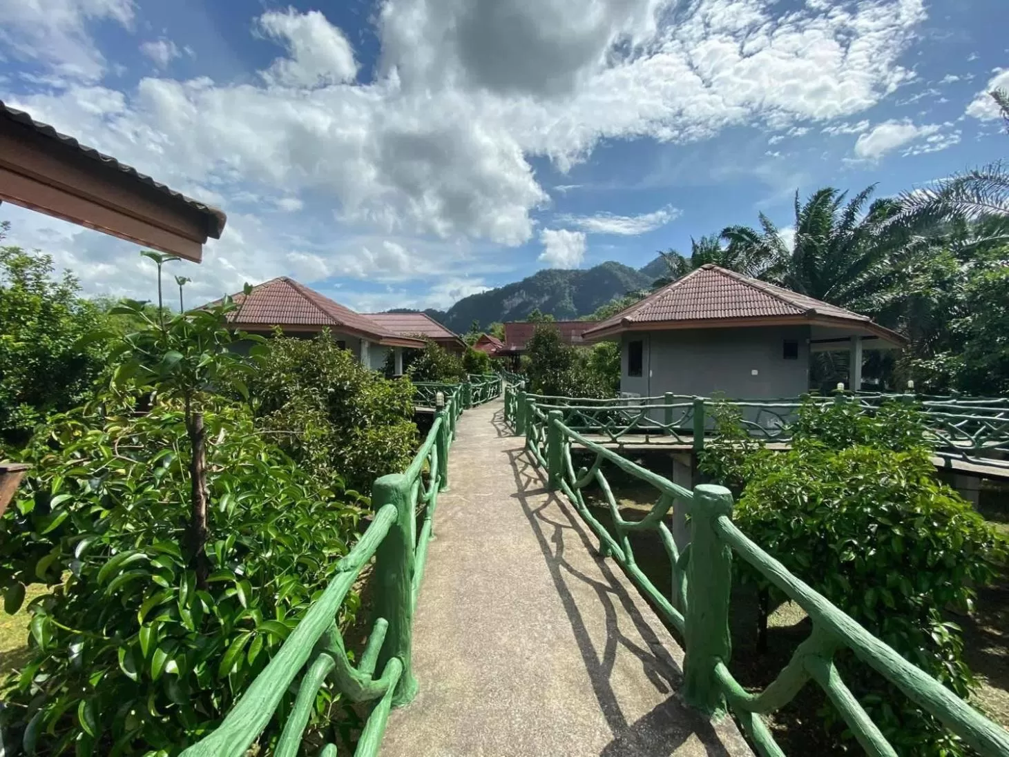 Property building in Khao Sok Jungle Huts Resort