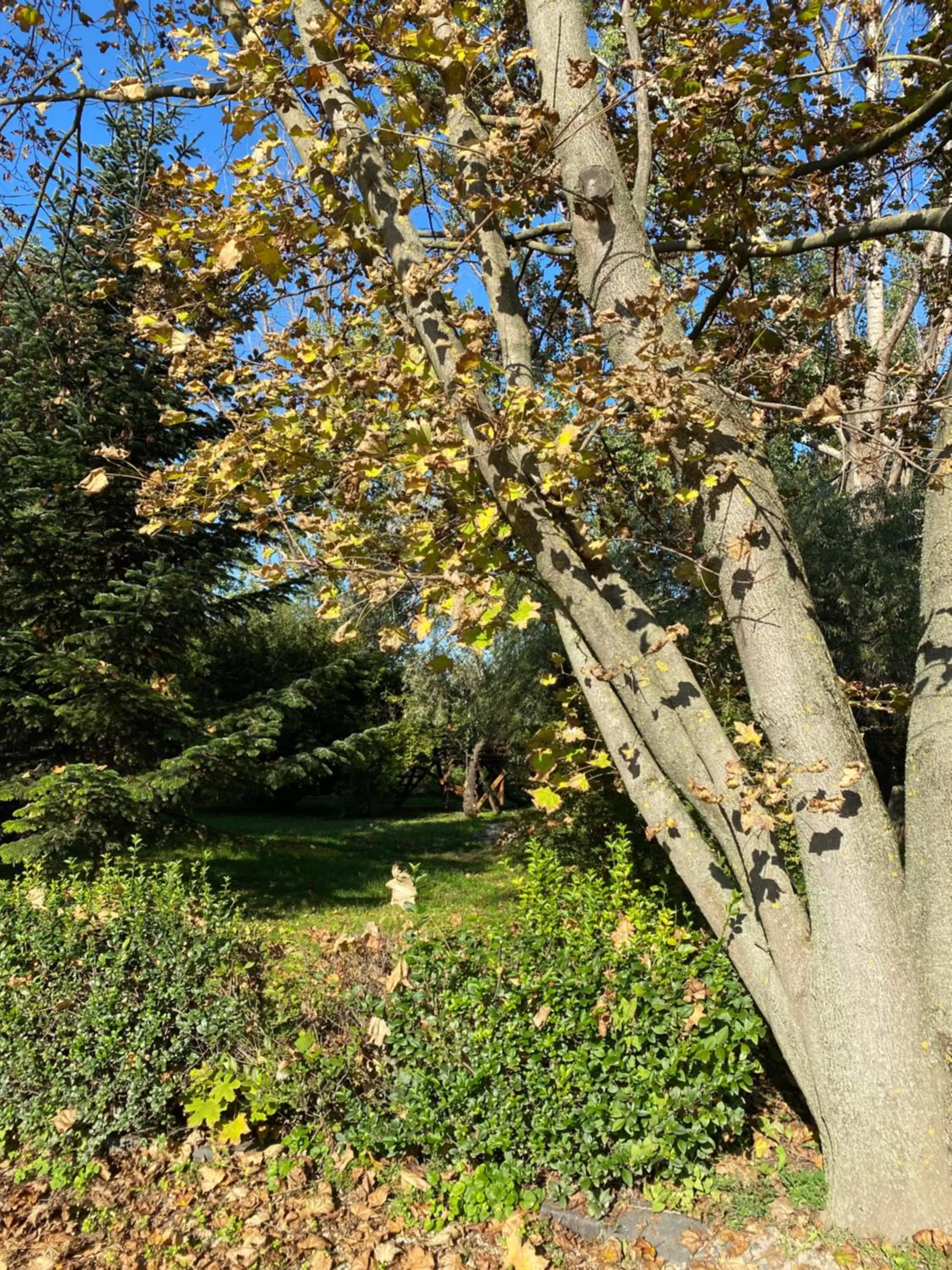 Off site in A Fogadó