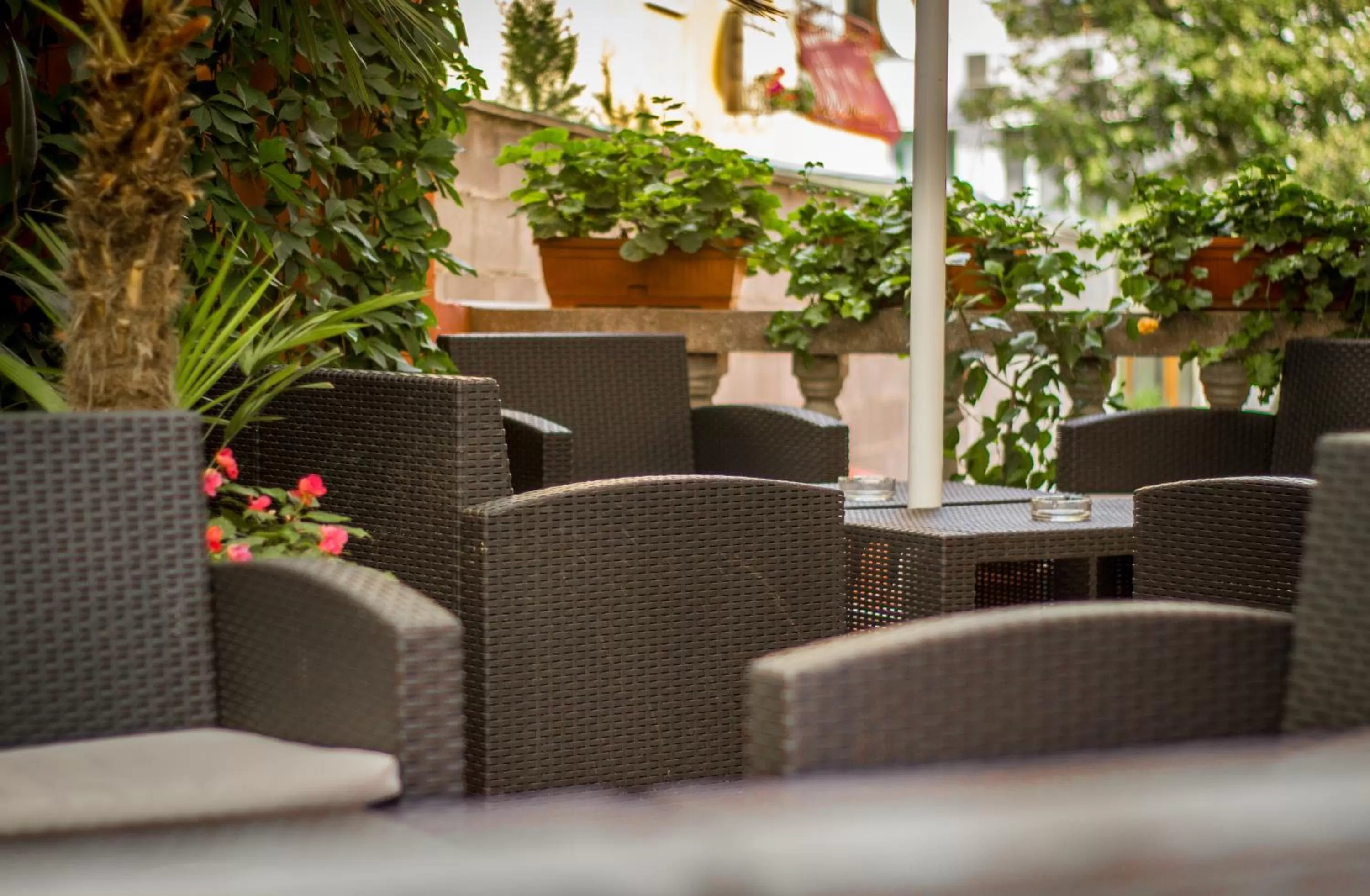 Patio in Family Hotel Saint Iliya