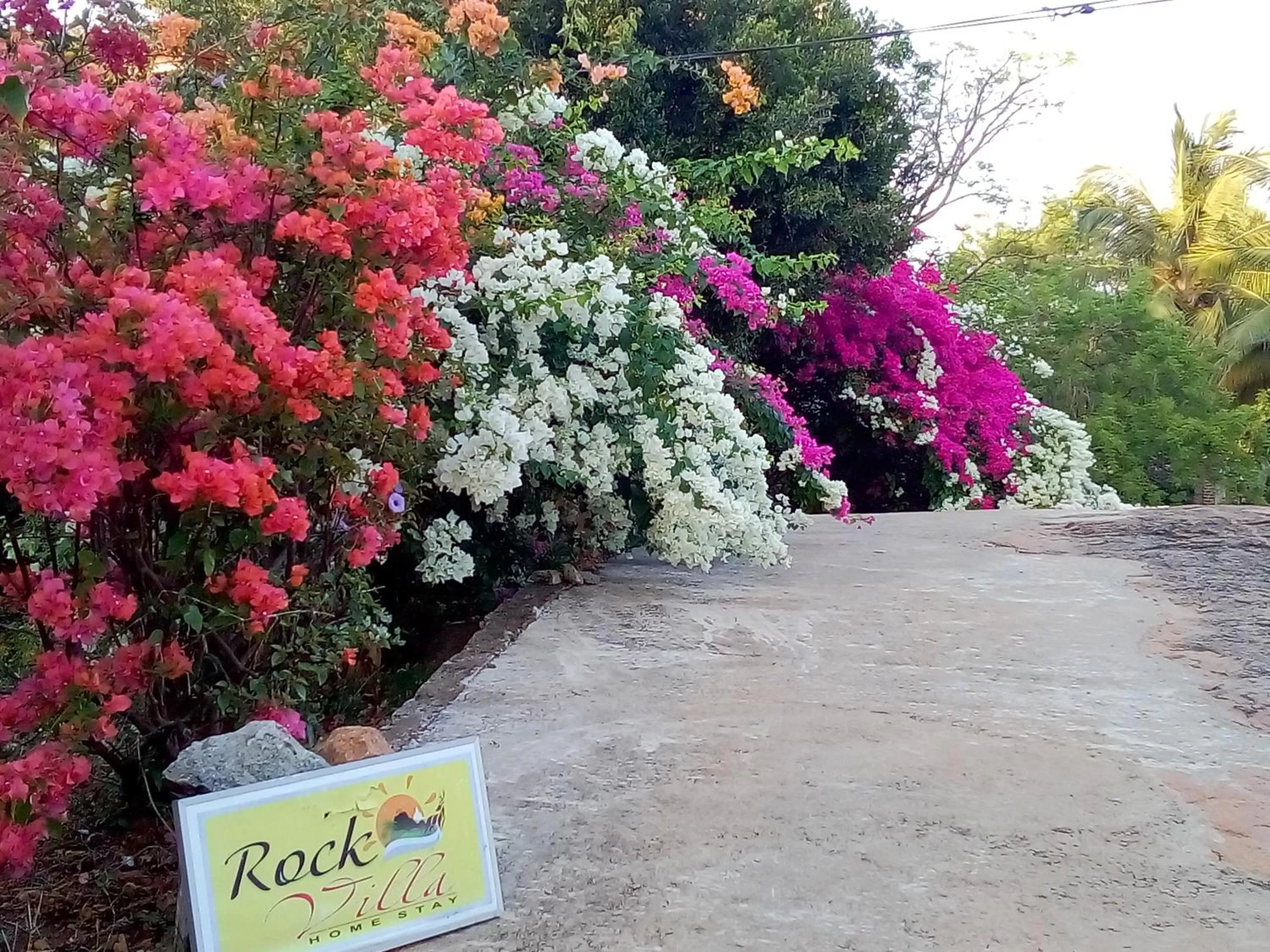 Rockvilla homestay and BNB