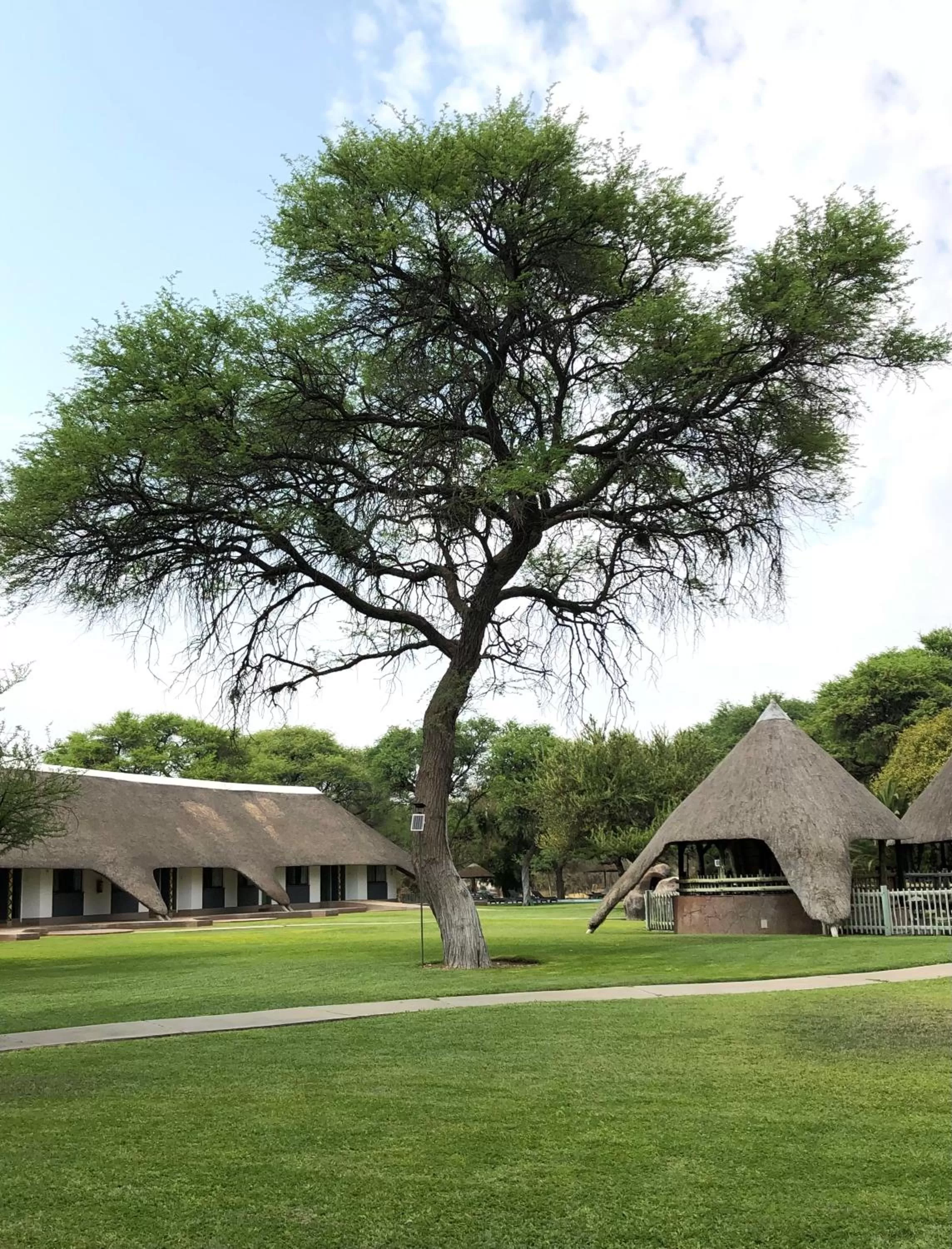 Garden, Property Building in Okahandja Country Hotel