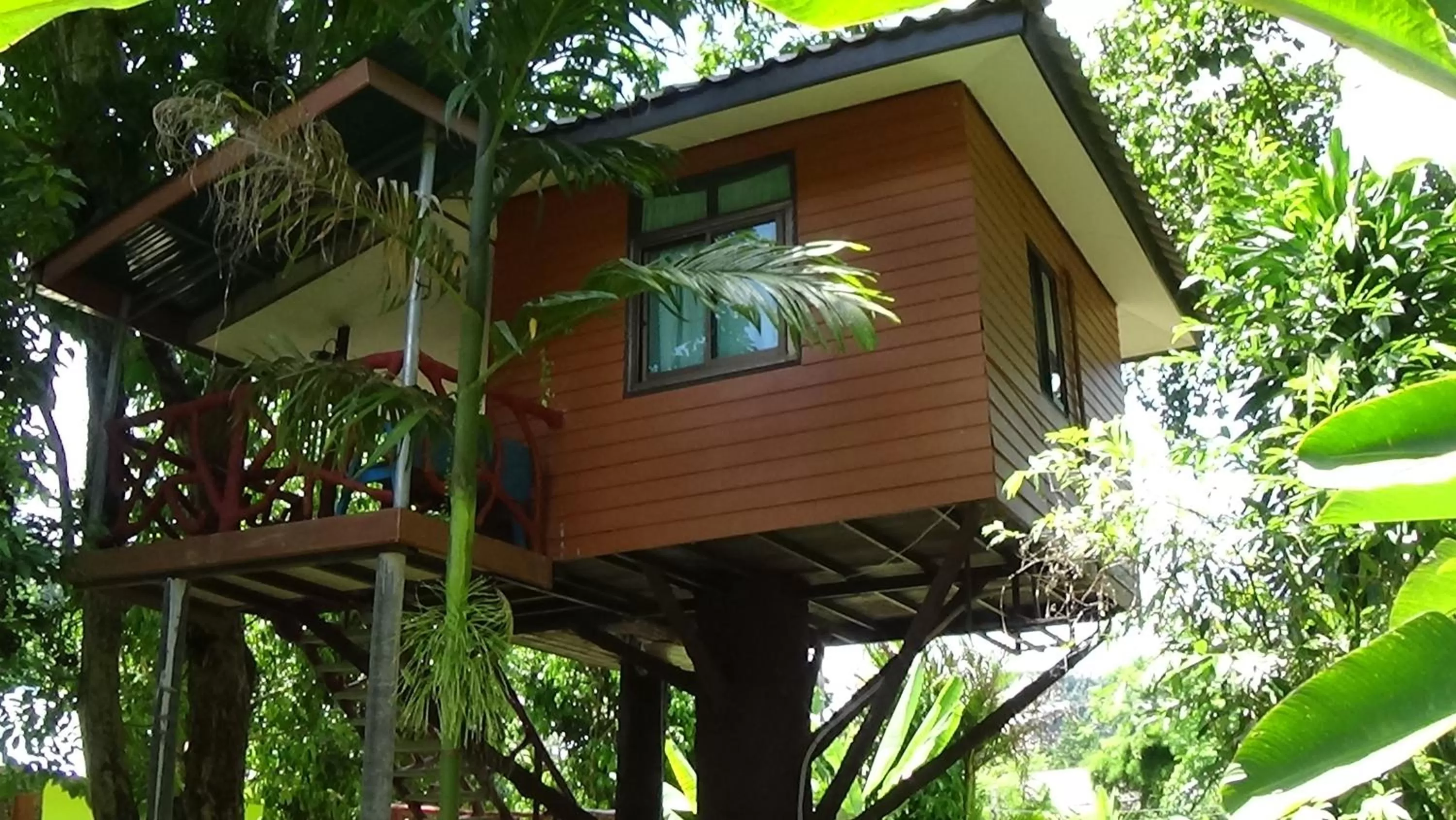 Garden view in Tree Tops River Huts