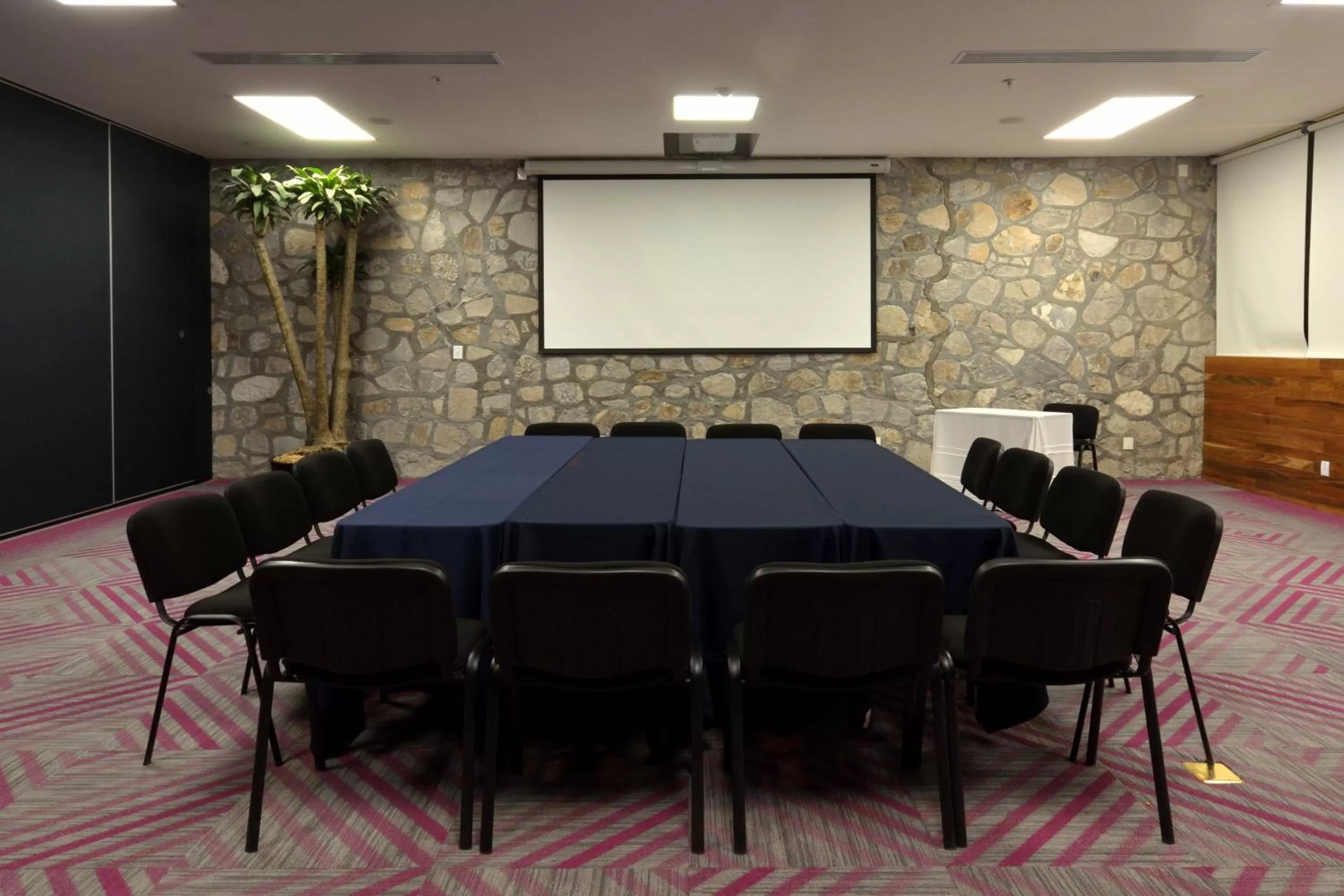 Meeting/conference room in Holiday Inn Express Pachuca by IHG