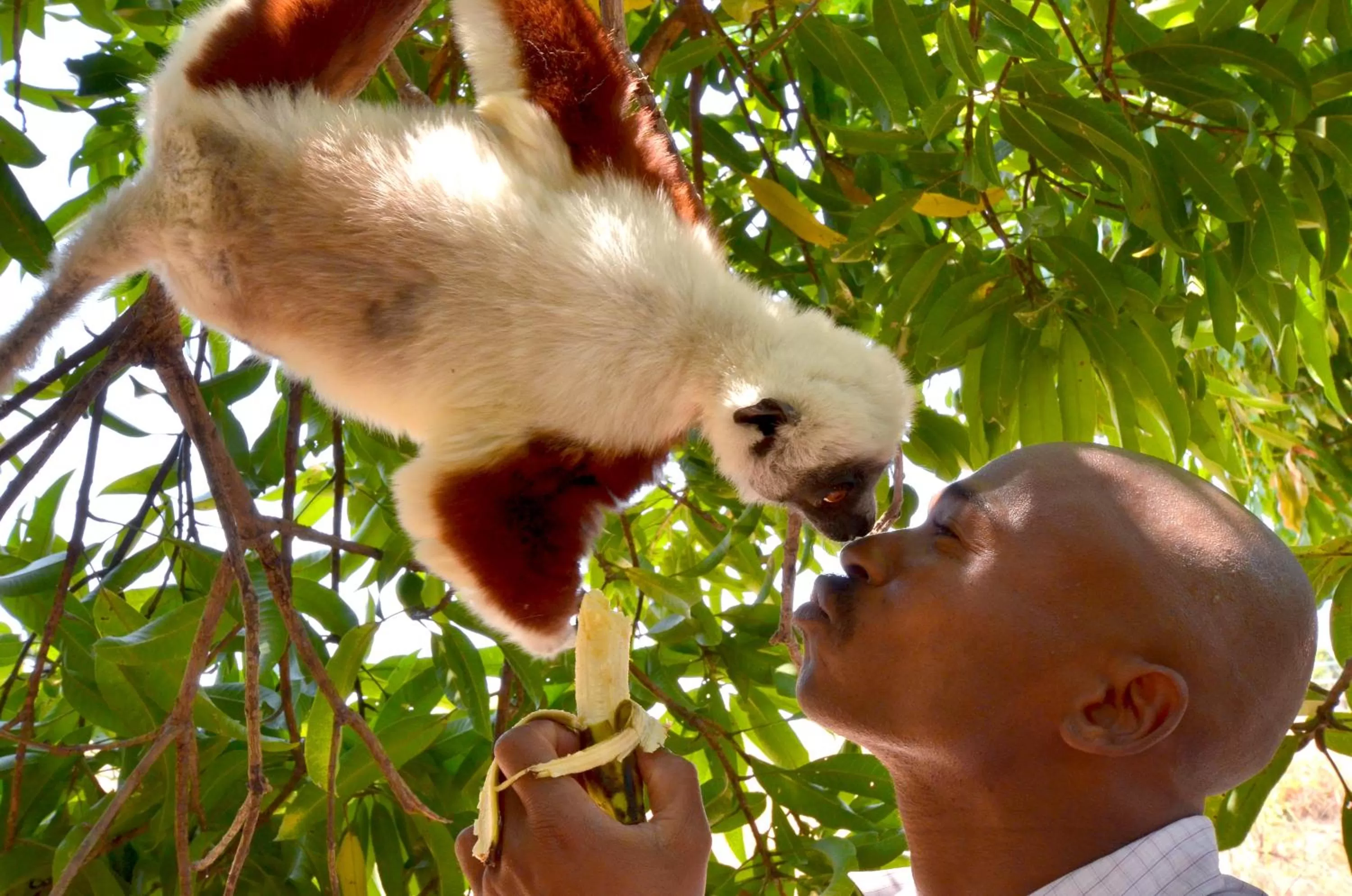 Day in Antsanitia Resort