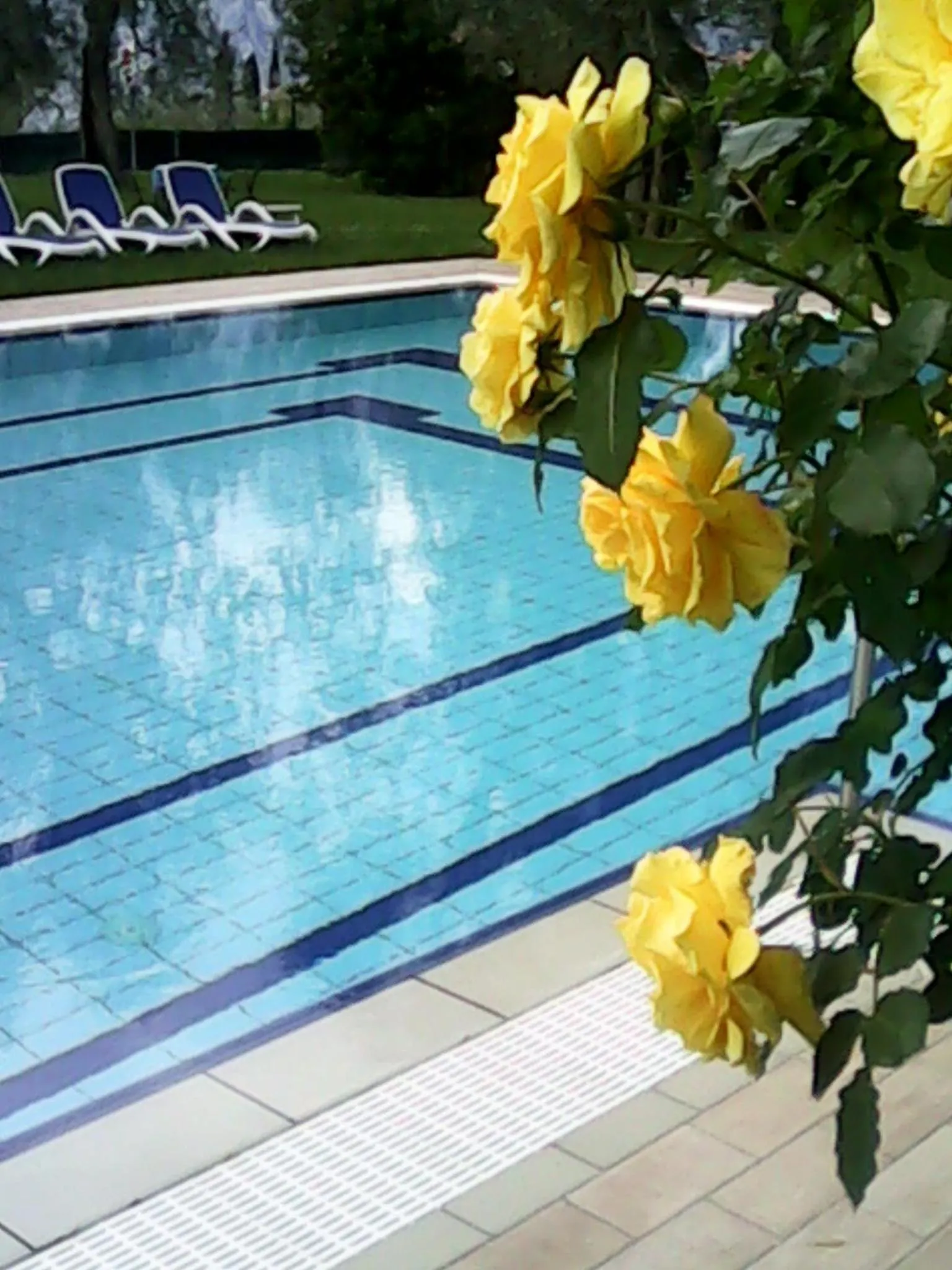 Swimming pool in Garnì Casa Rabagno