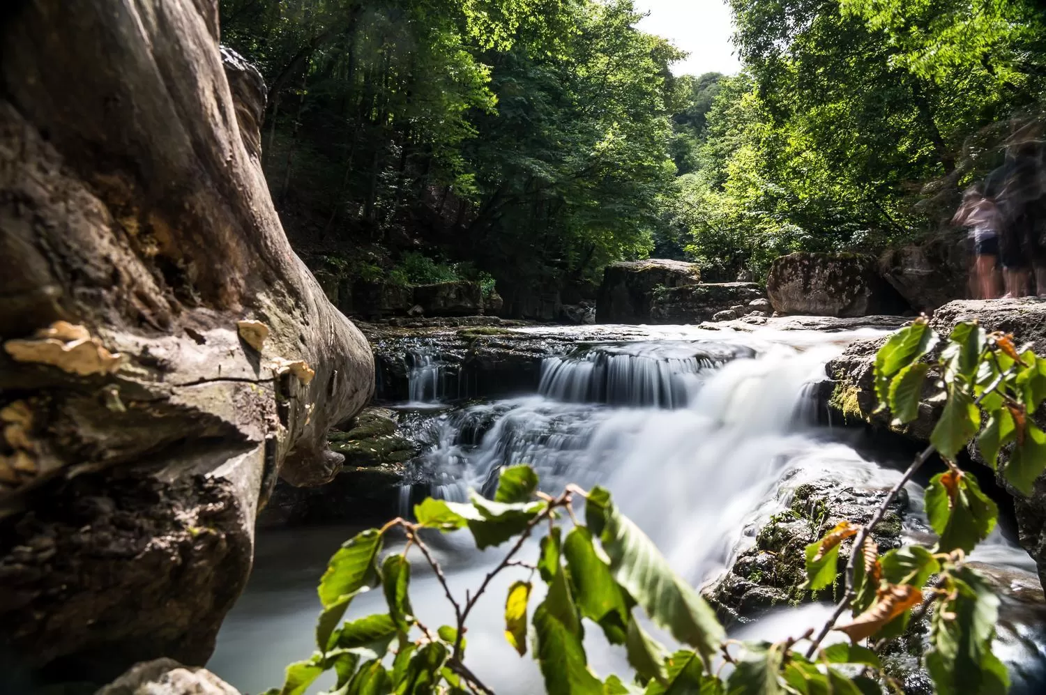 Natural landscape in Apaga Resort