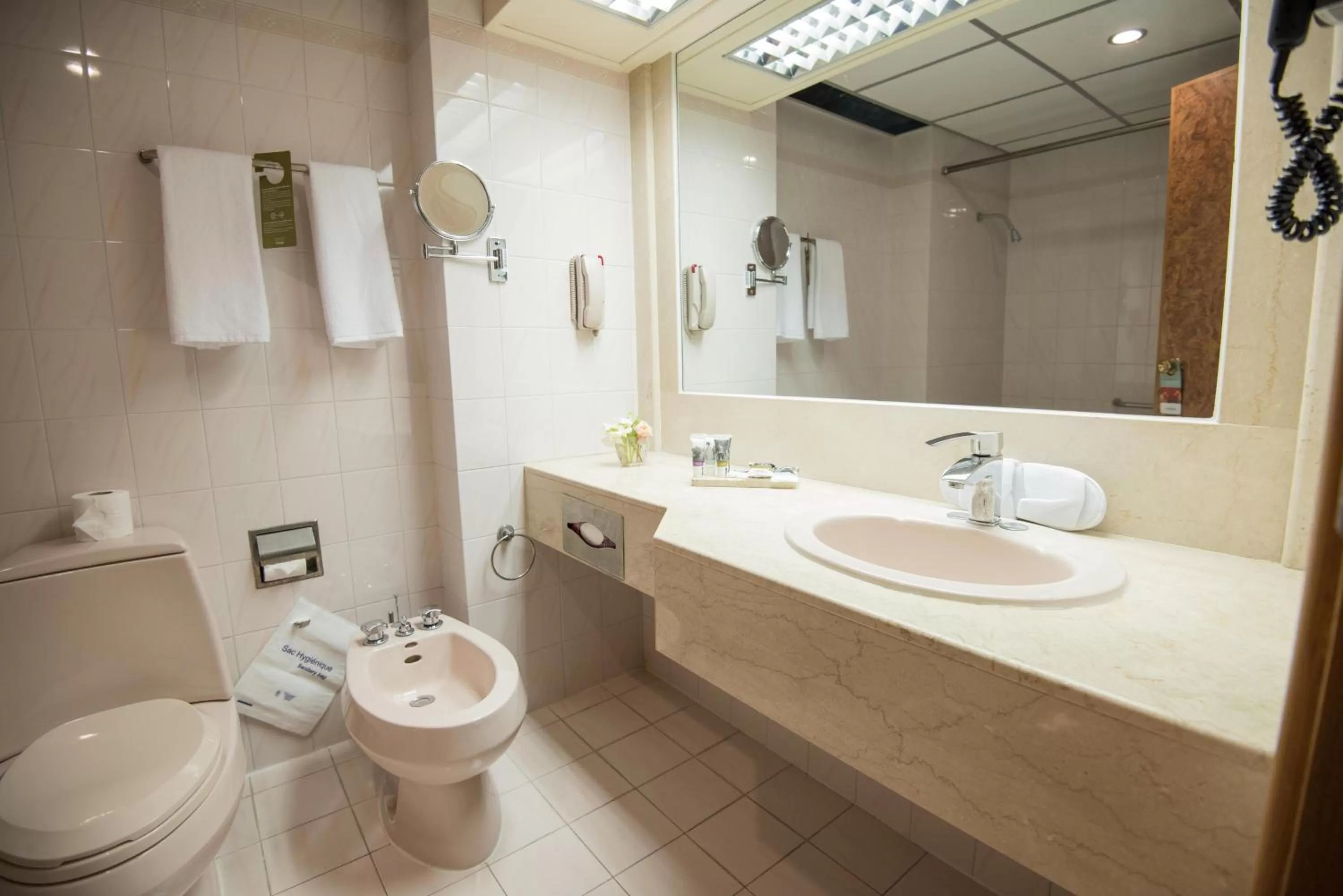 Bathroom in Hotel Mercure Alger Aéroport