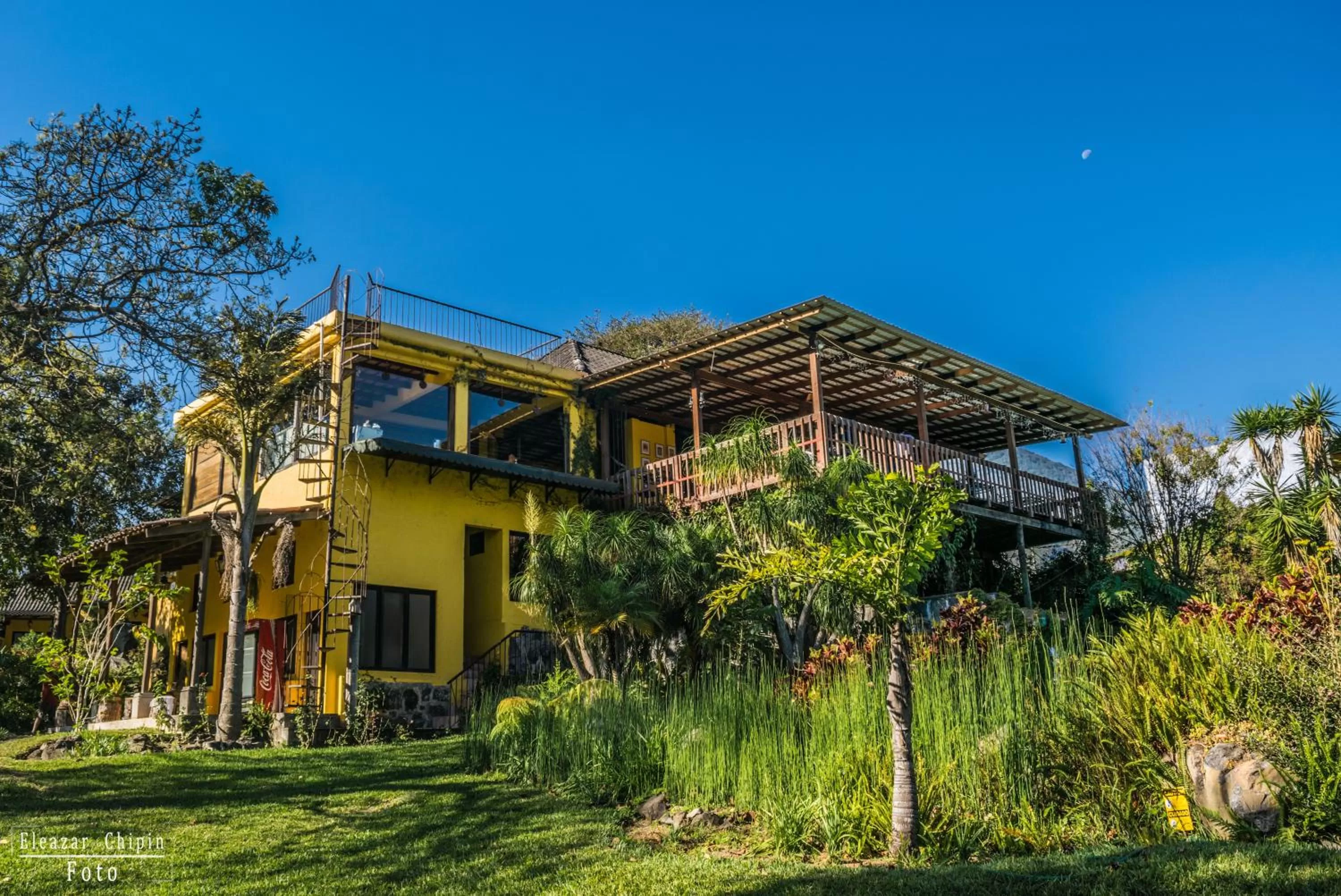 Balcony/Terrace, Garden in Hotel Toliman