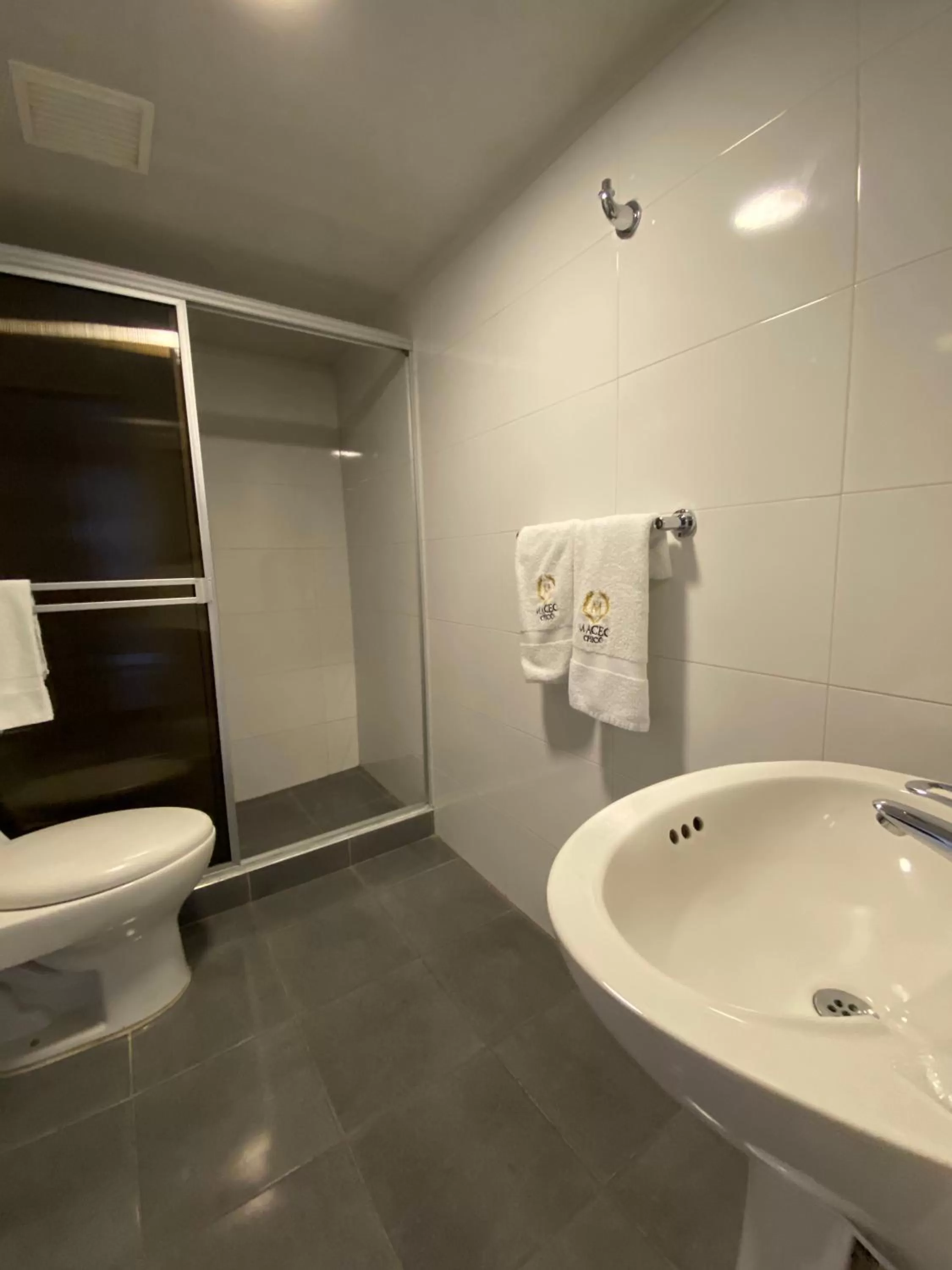 Shower, Bathroom in Hotel Maceo Chico