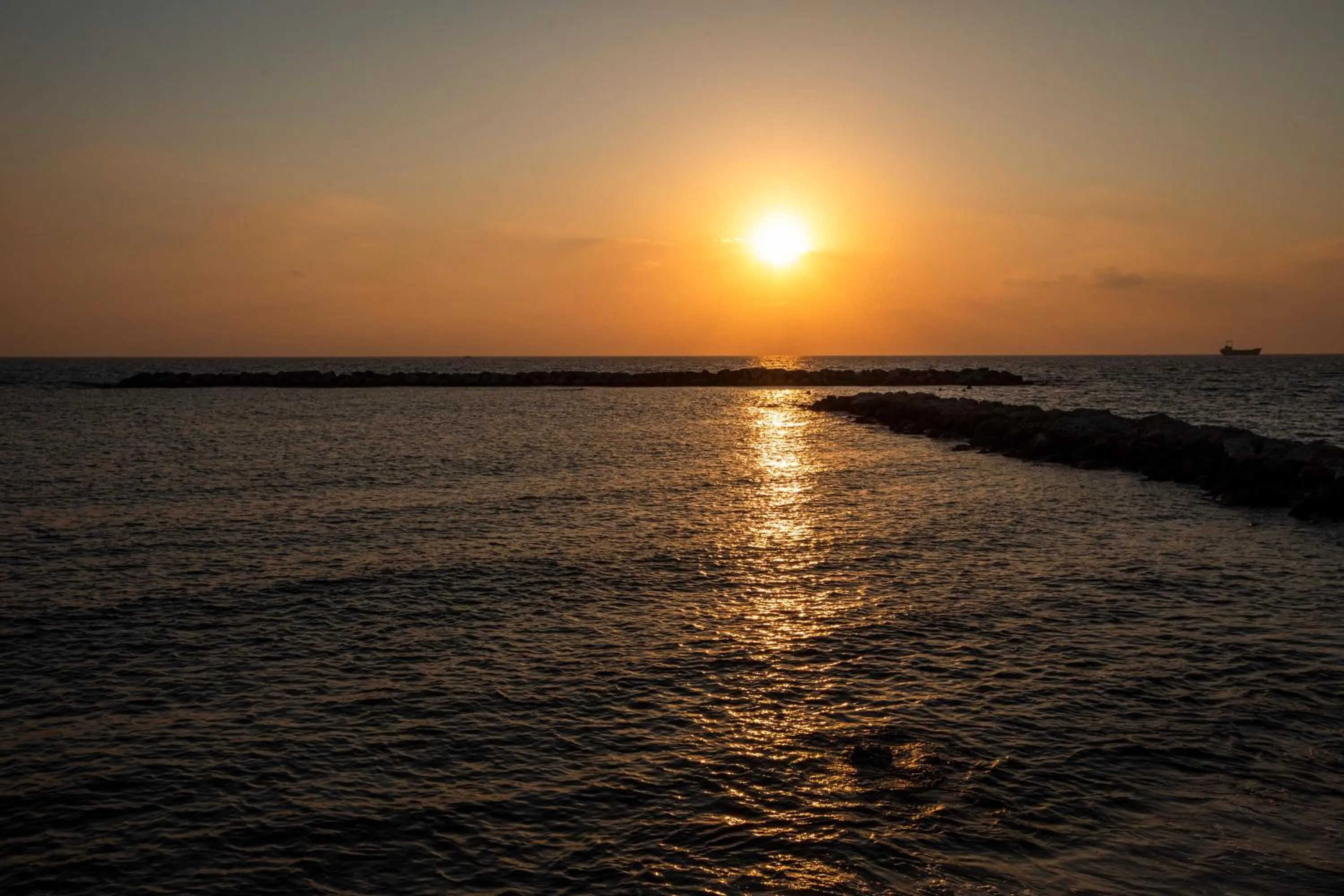Beach in Venus Beach Hotel