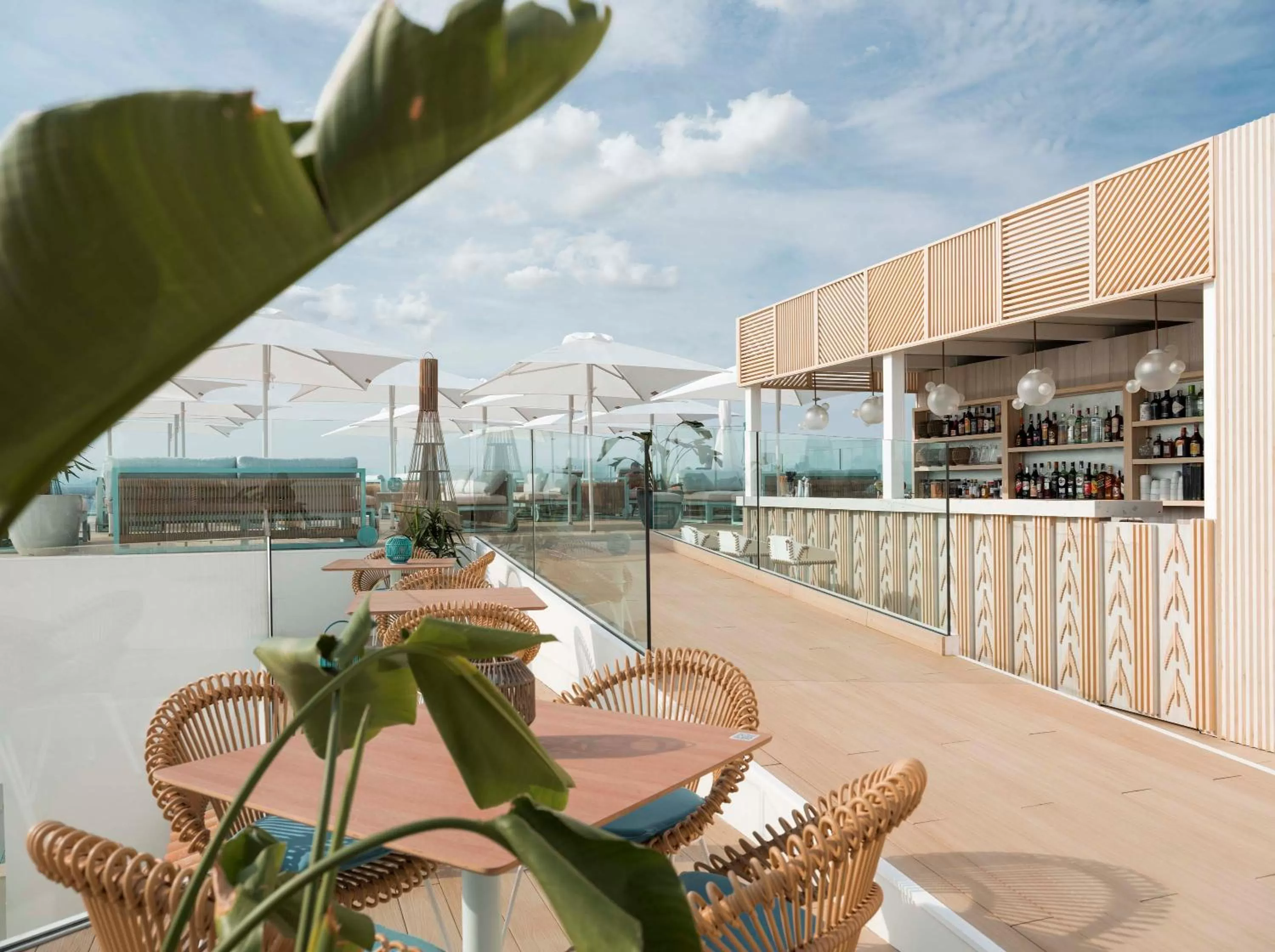 Area and facilities in Hotel Villa Chiquita - Adults Only - Over 12