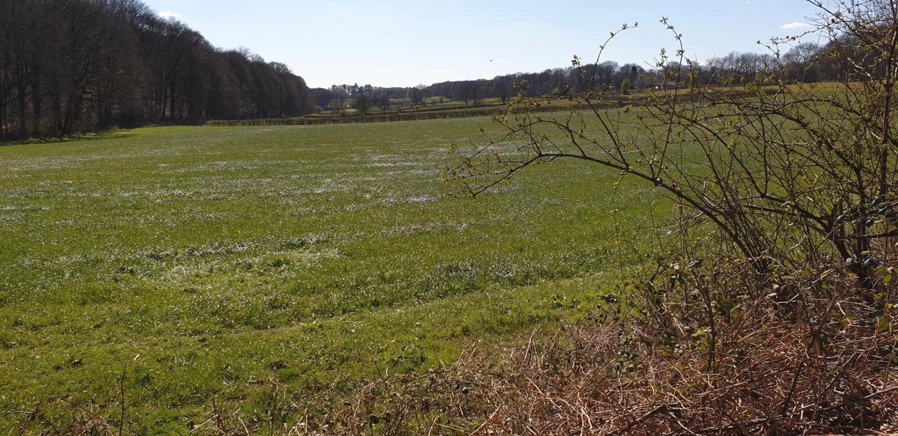 Natural Landscape in Bed & Breakfast "Aan de Bagijnstraat".