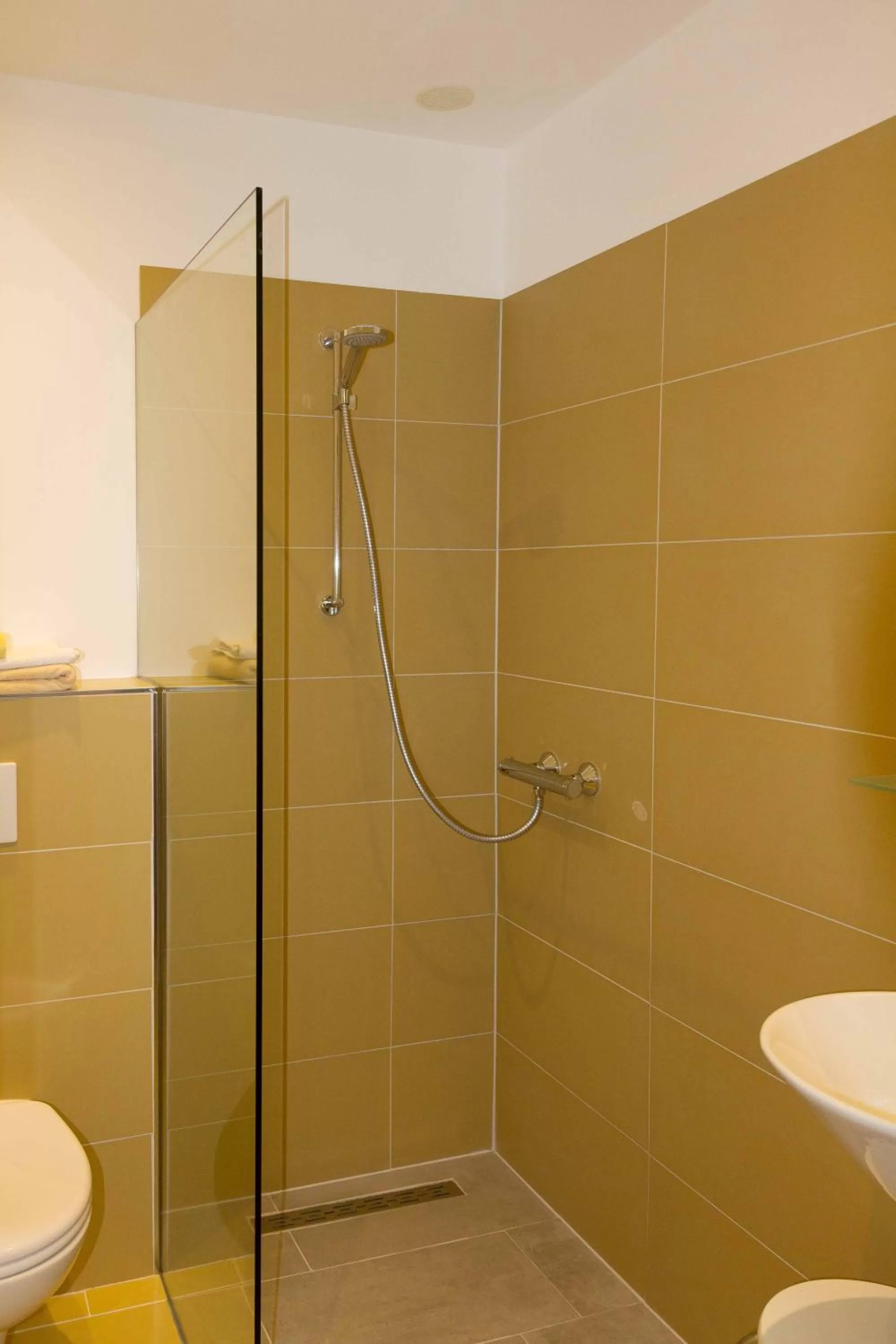 Shower in Biohotel Spöktal