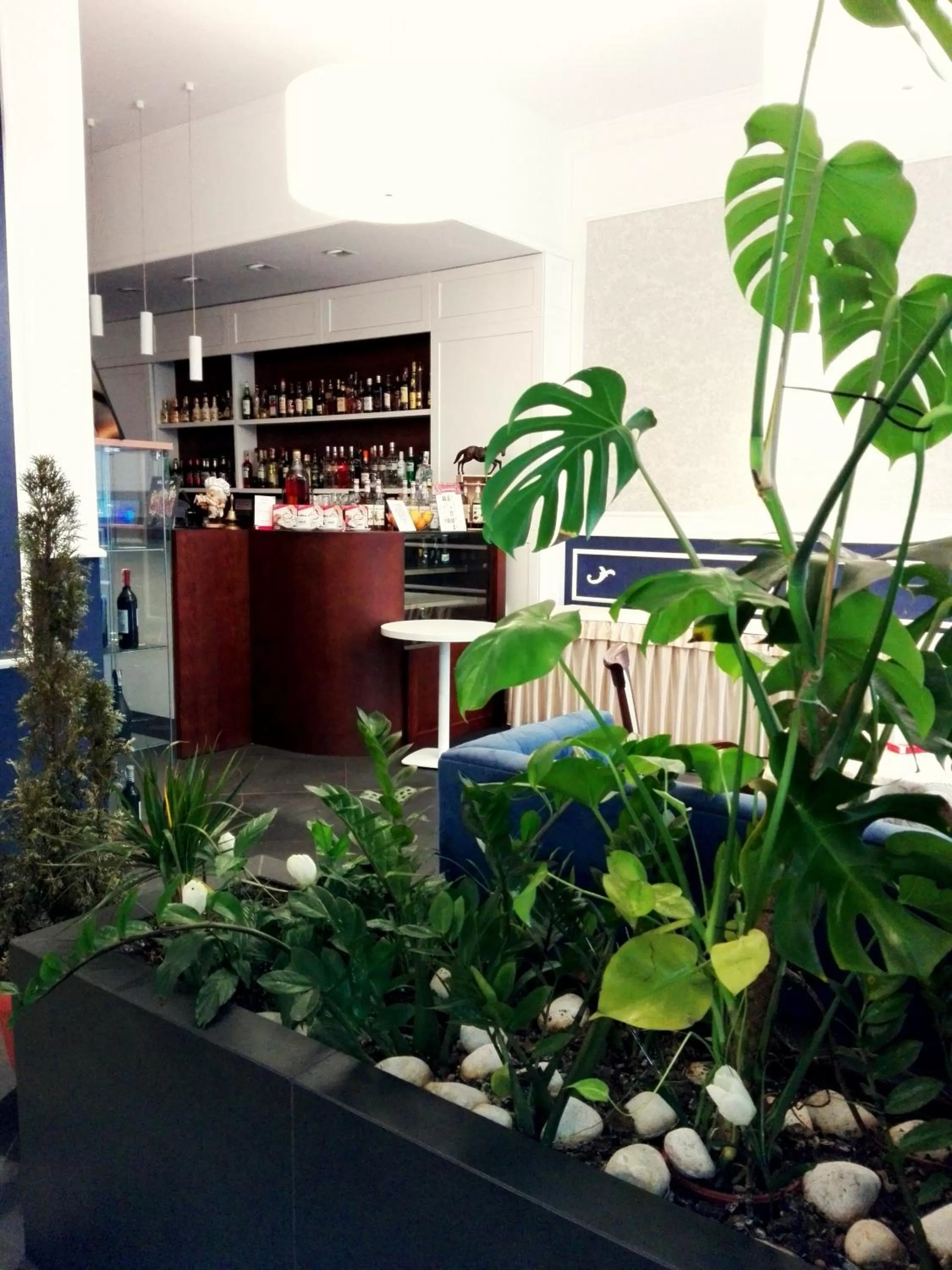 Lounge or bar in Bristol Residence