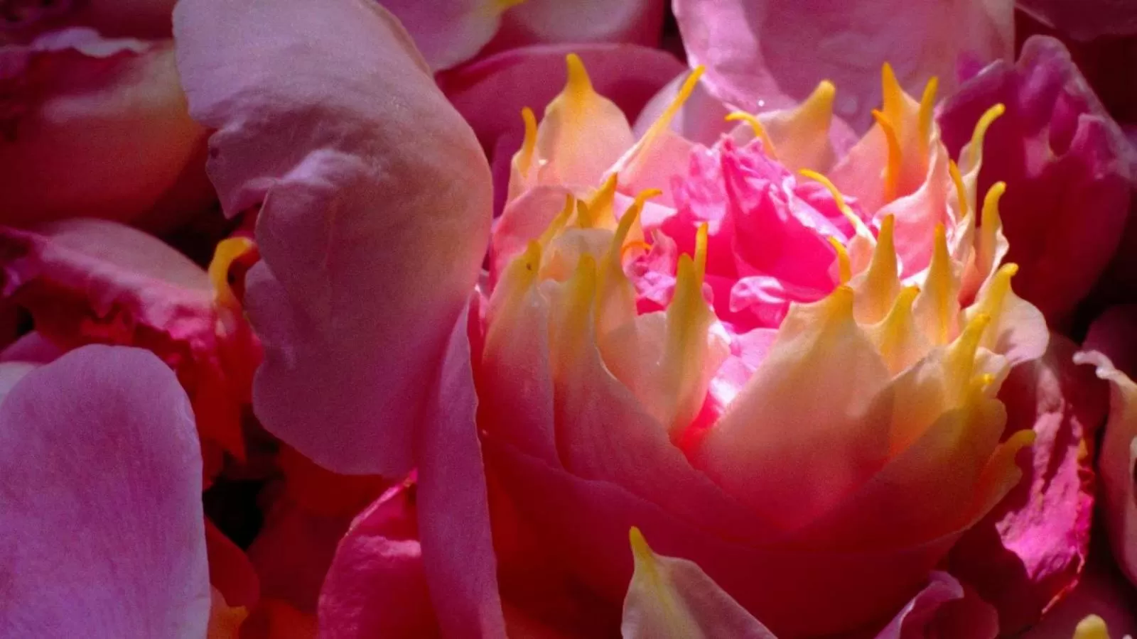 Bed and Breakfast Bavaria München