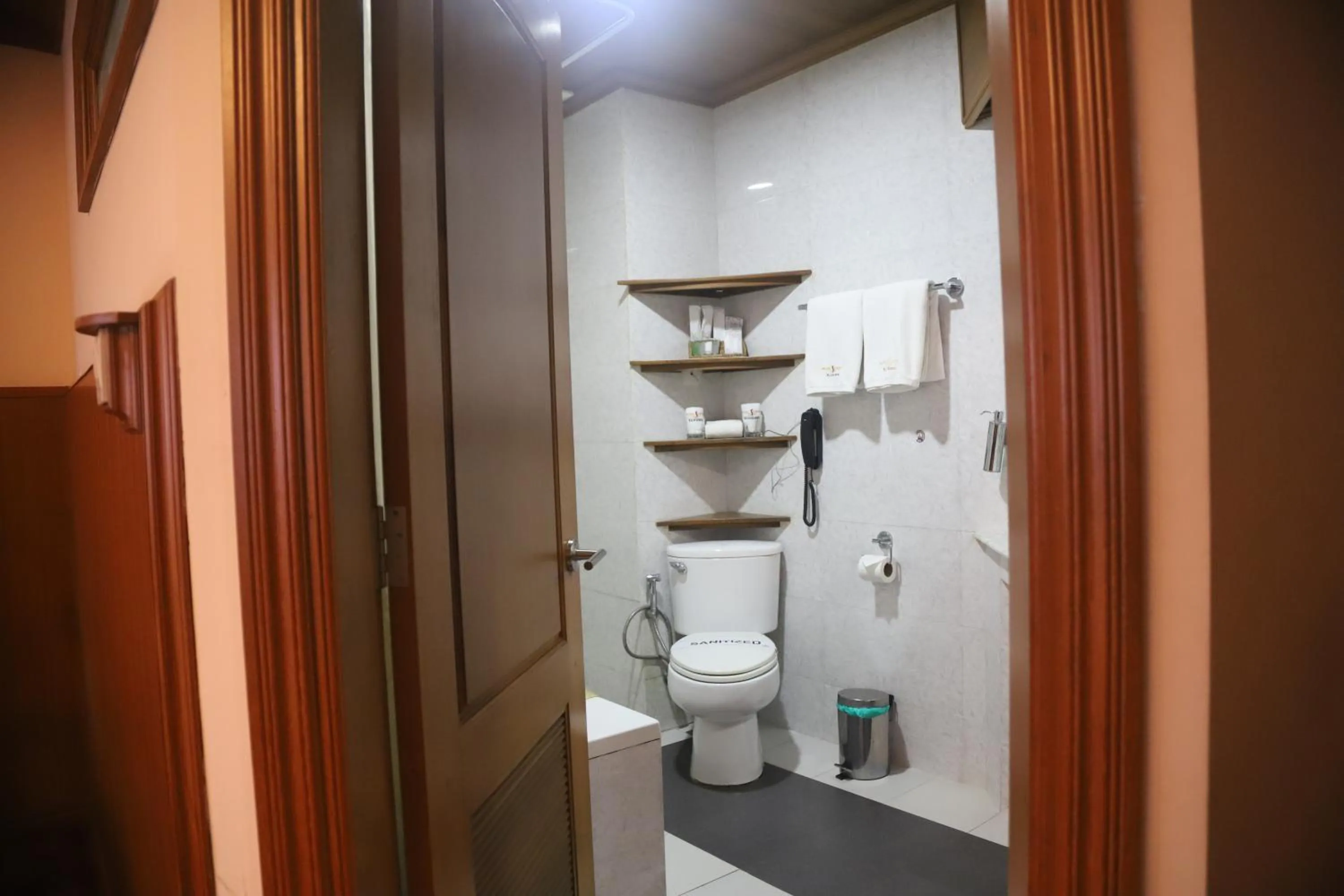 Toilet in Hotel Sidney