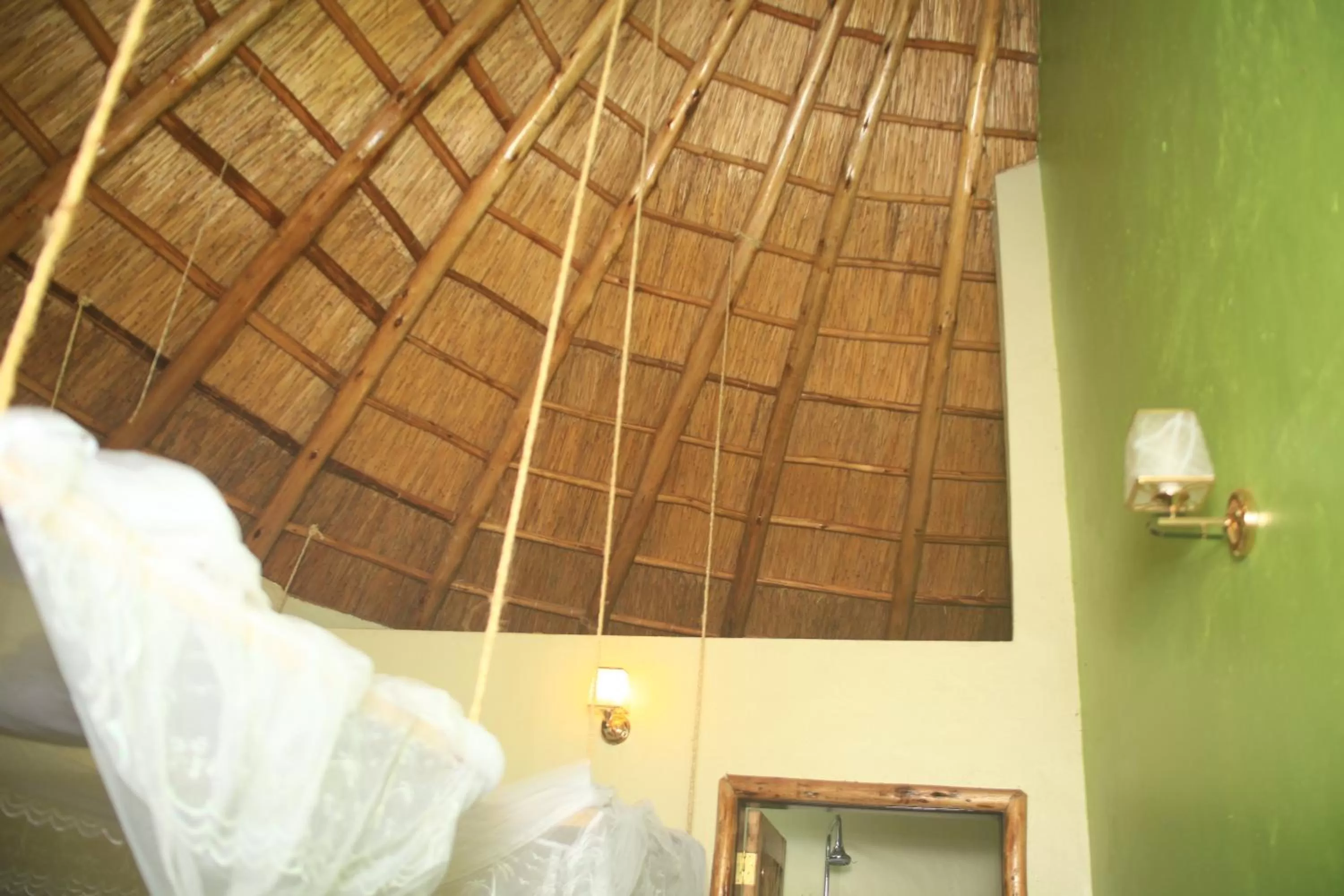 Bed in Elite Backpackers Services