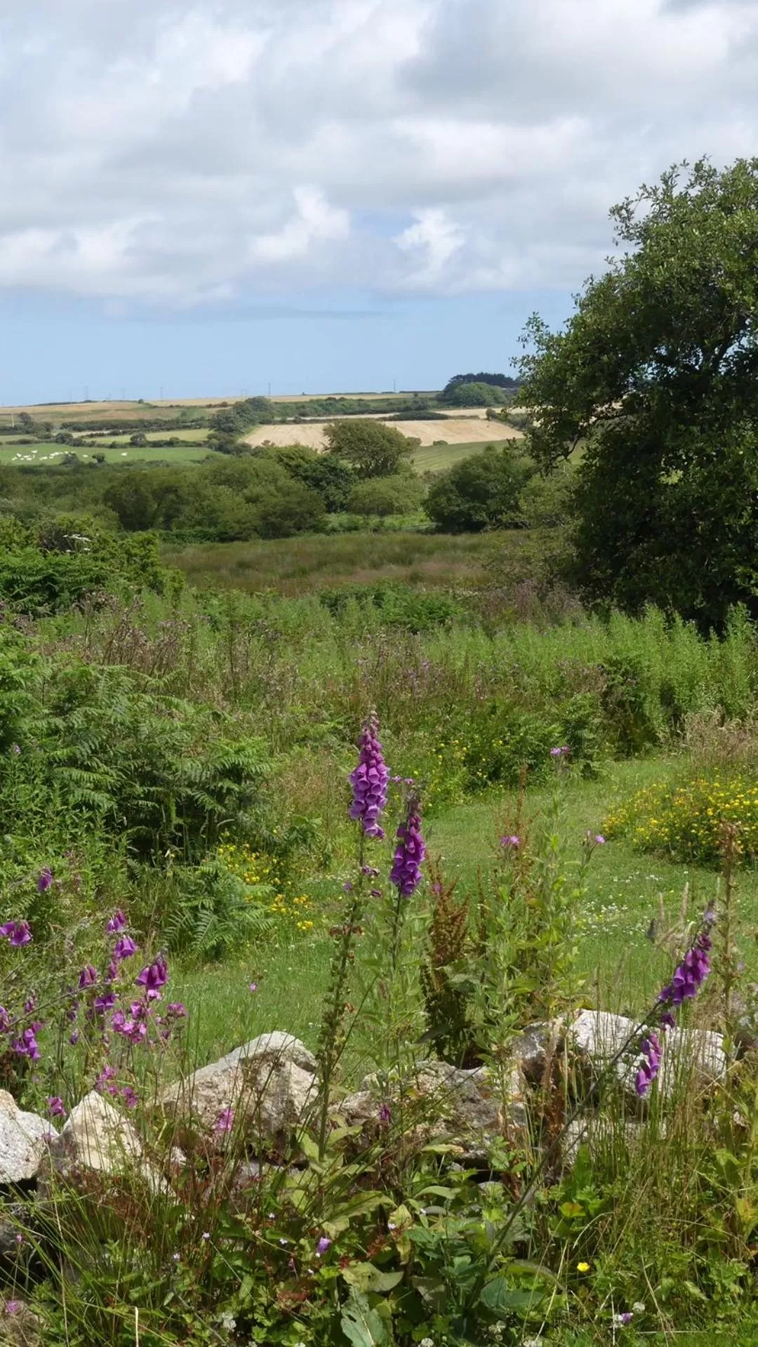 Garden in Higher Trenear Farm B&B