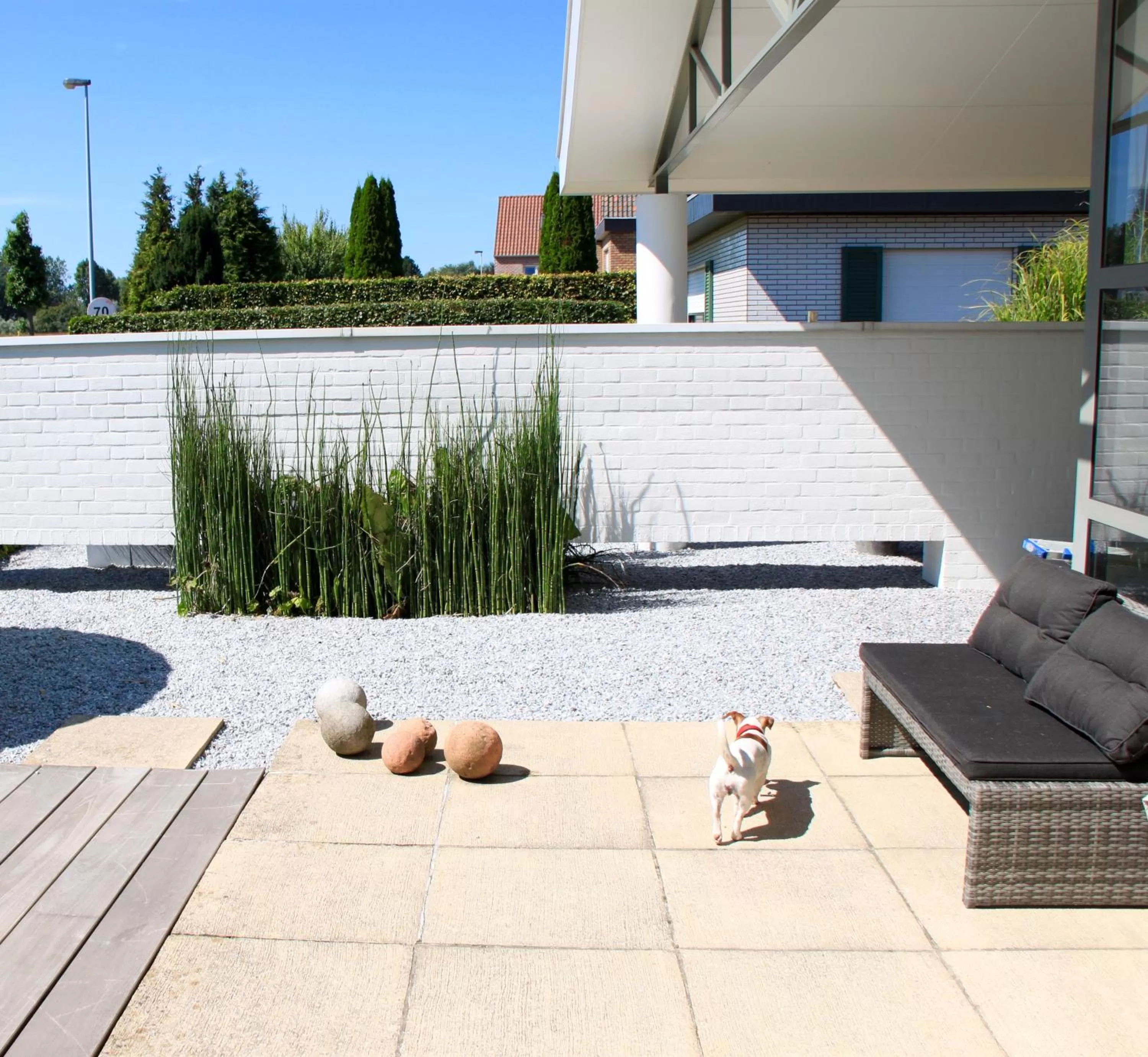 Area and facilities, Other Activities in Studio Art-hill