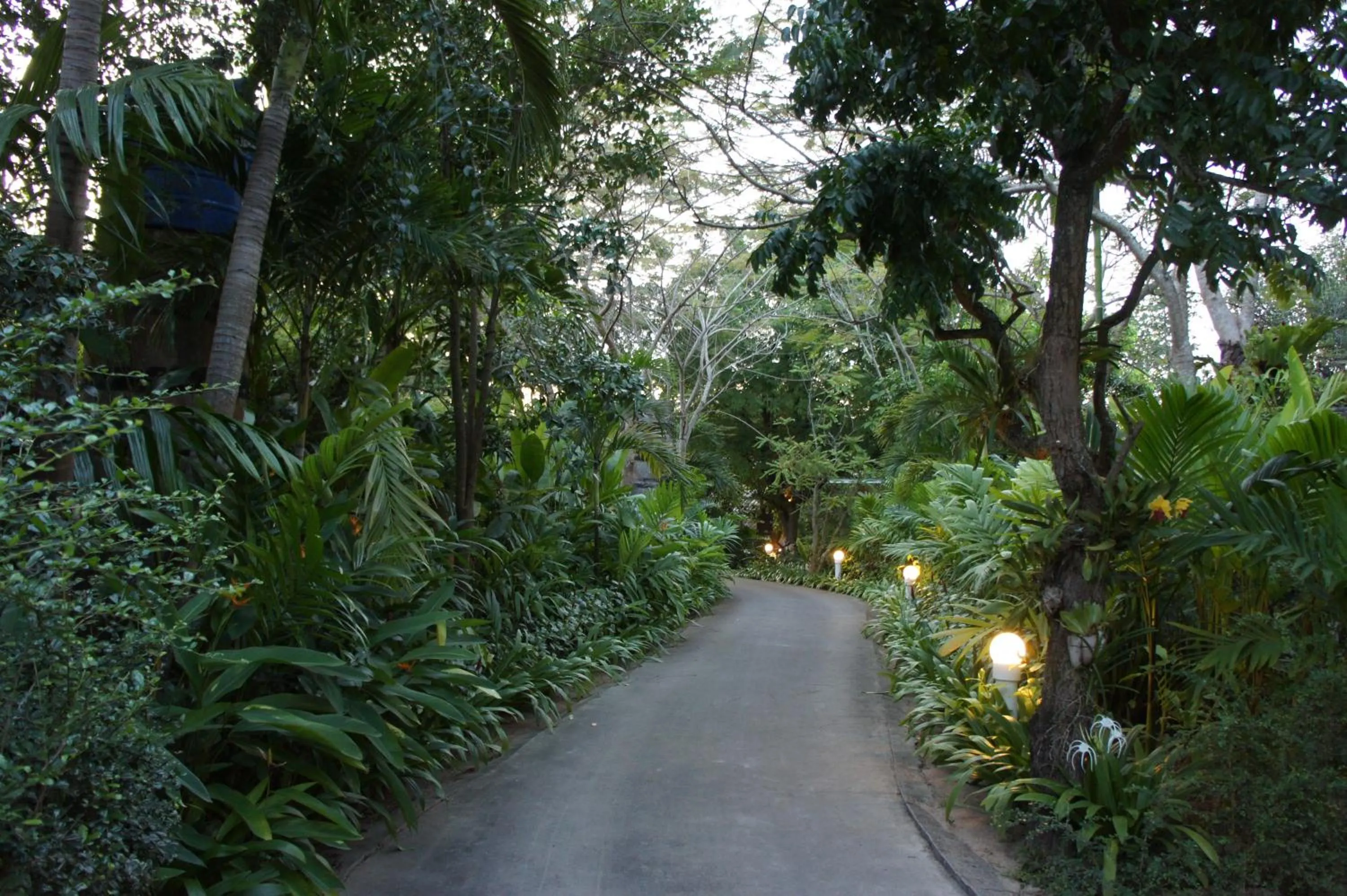 Garden in Palm Village