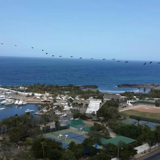 Bird's-eye View in HOTEL MUEVETE POR VARGAS