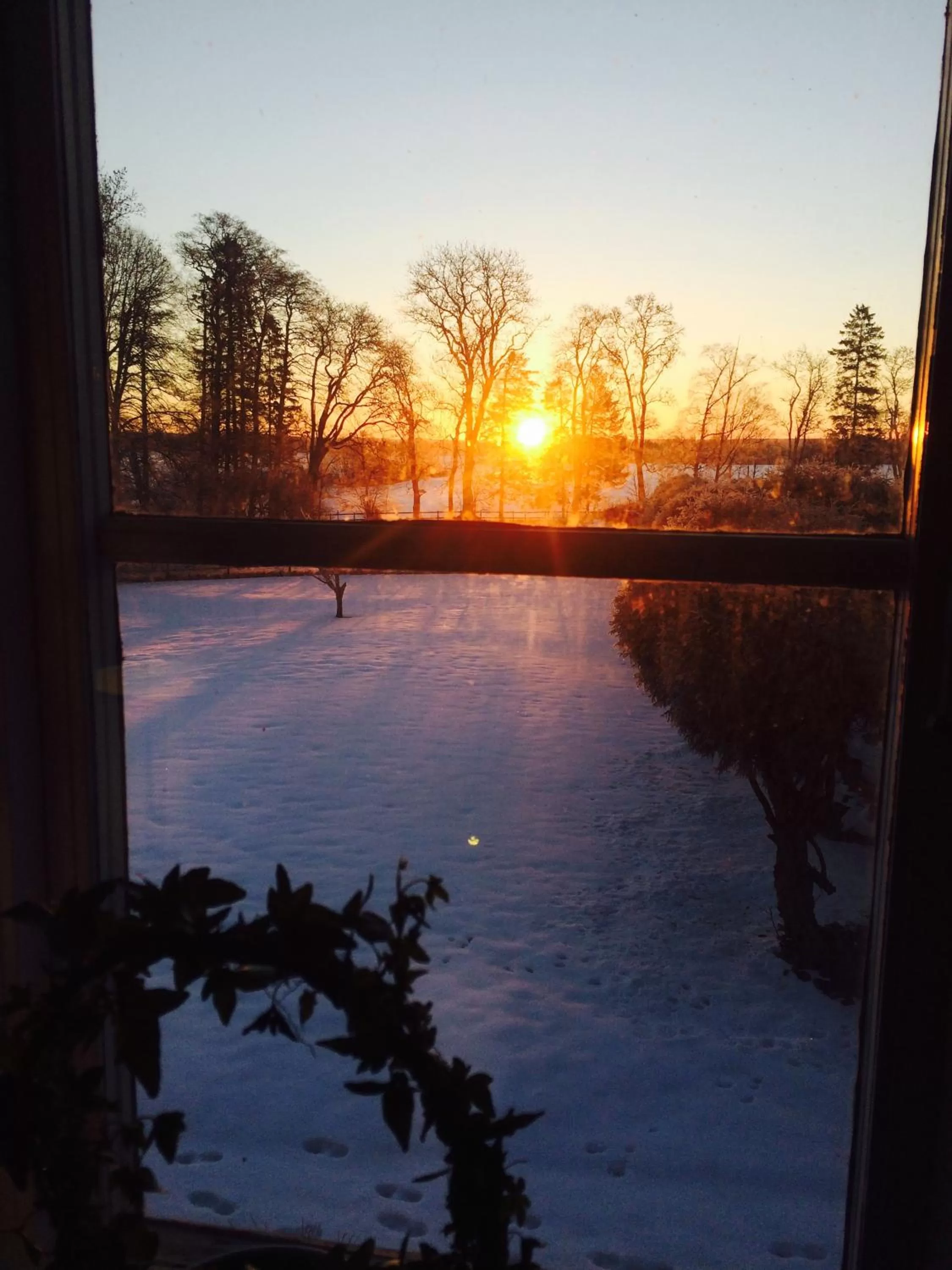 Garden view in Brunsbo G:a Biskopsgård Hotell & Konferens