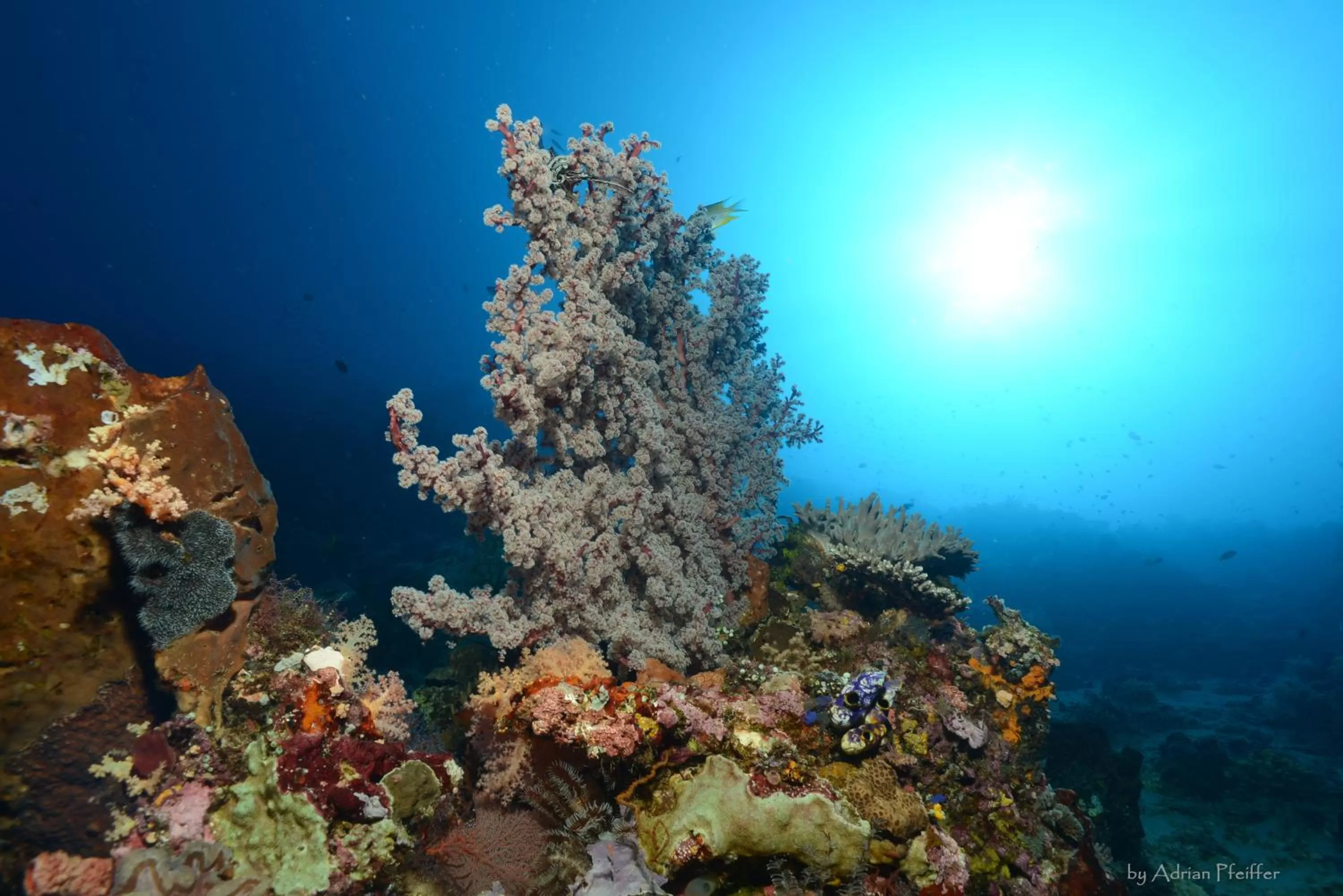 Other in Naya Gawana Resort & Spa