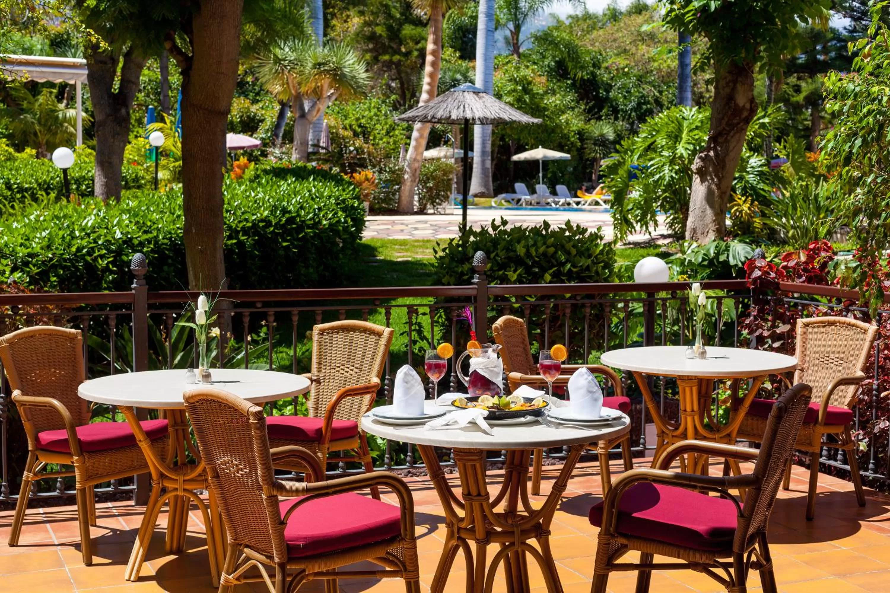 Garden in Apartamentos Masaru