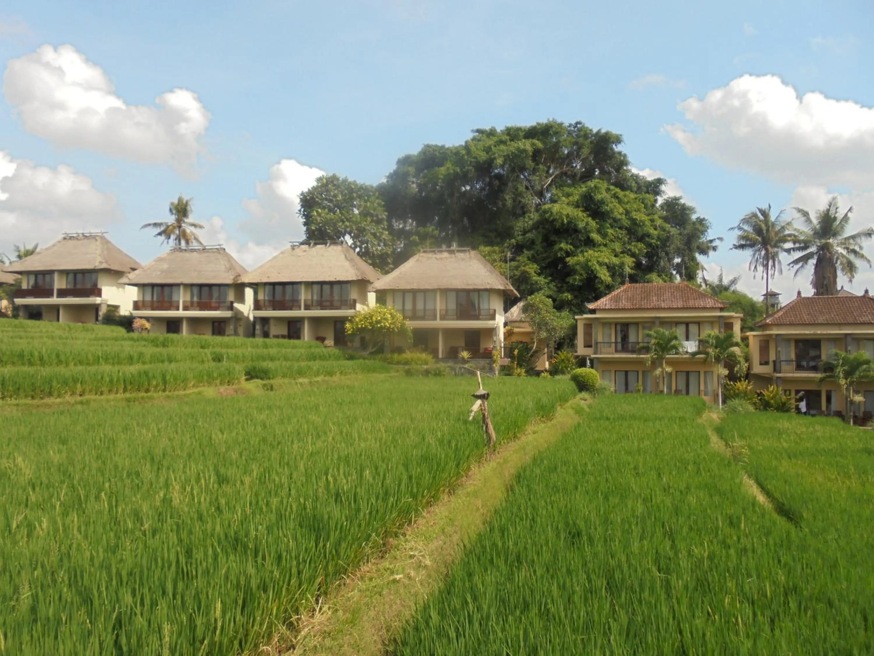 Property building in Biyukukung Suite & Spa