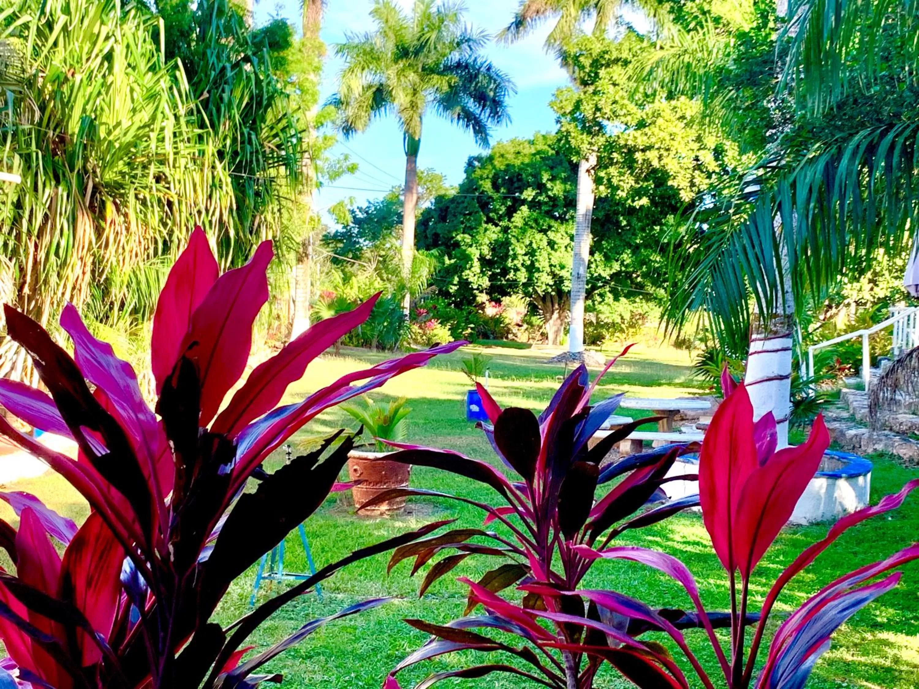 Spring in Hotel Green River