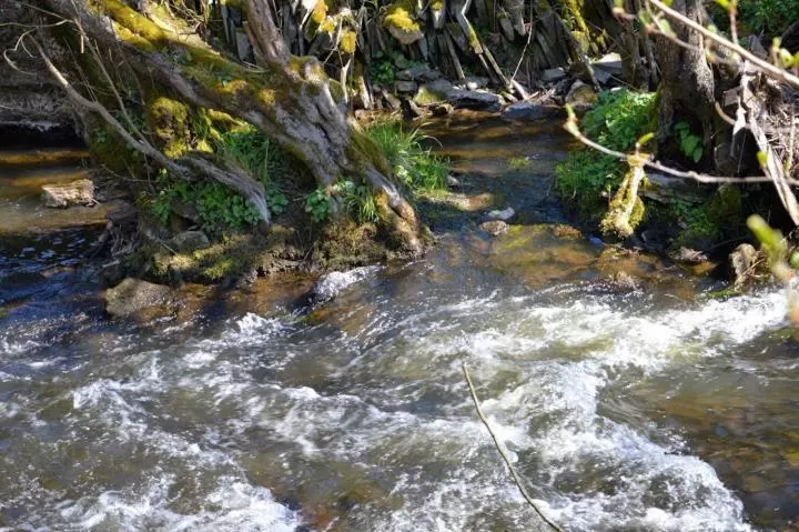 Area and facilities in B&B Les Tilleuls