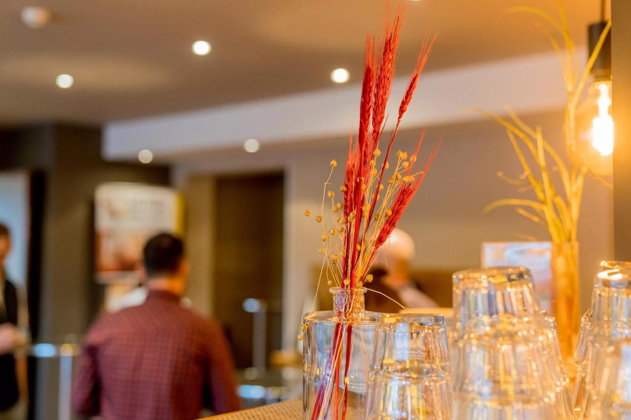 Restaurant/places to eat in Hotel Bacchus