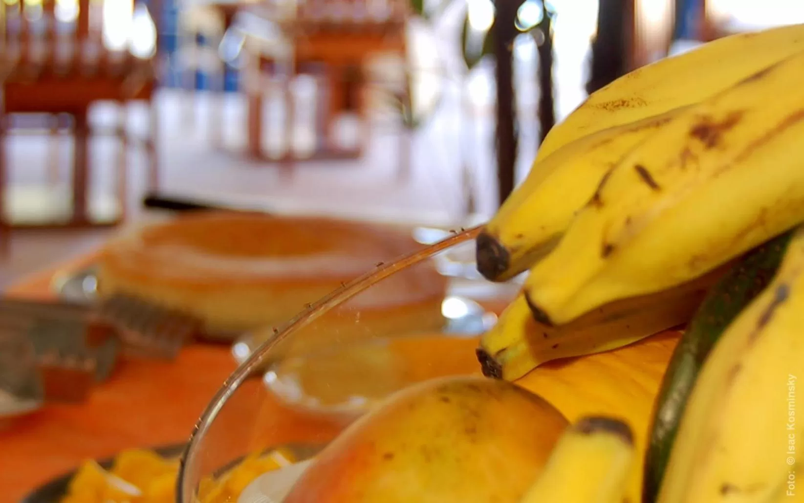 Food in Hotel Pousada Salvador Paradise