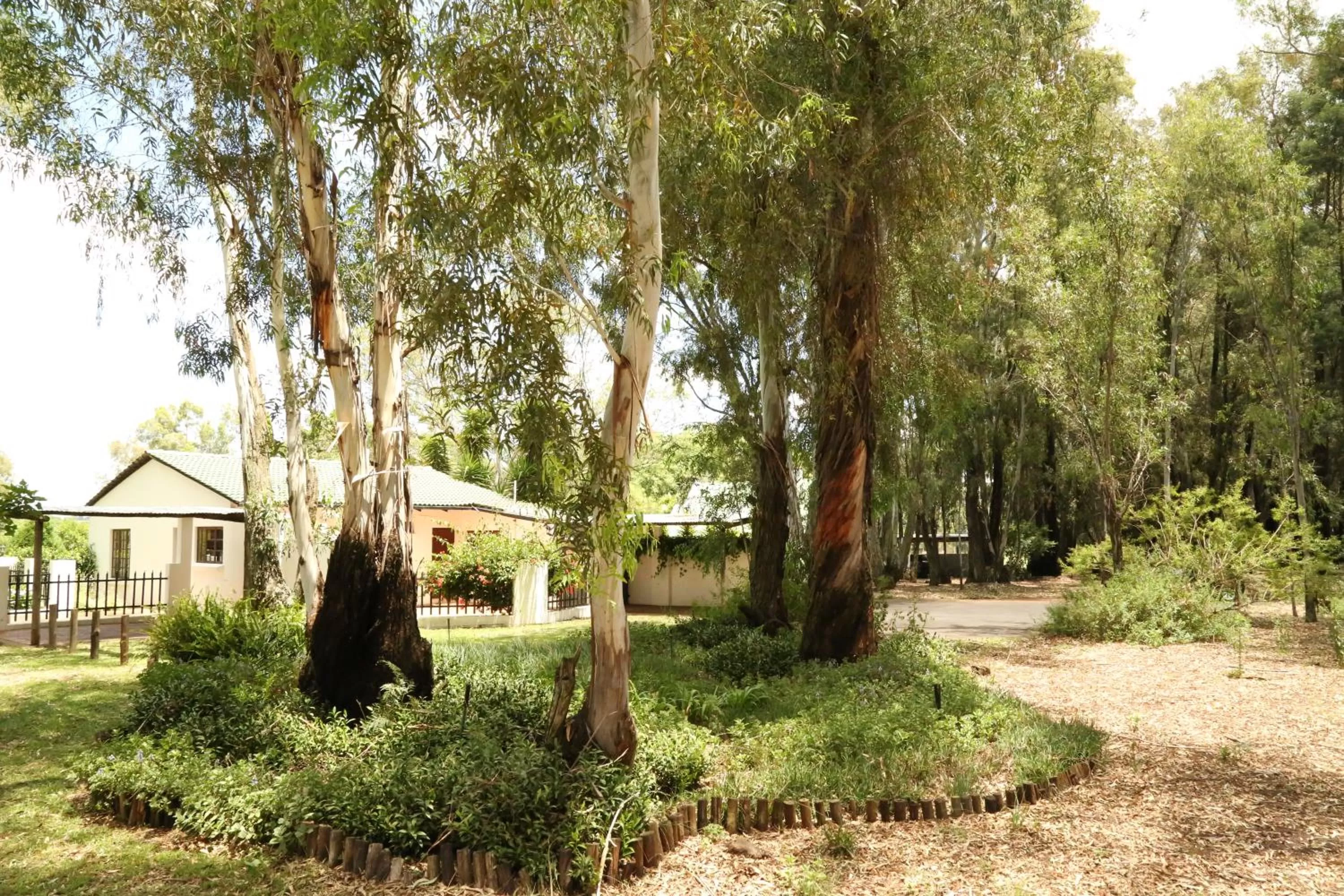 Garden in The Highveld Cape Inn